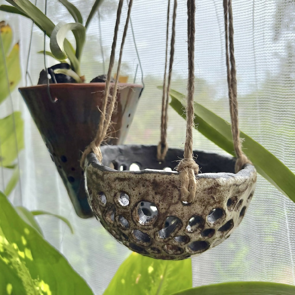 Dome hanging orchid pot lifestyle