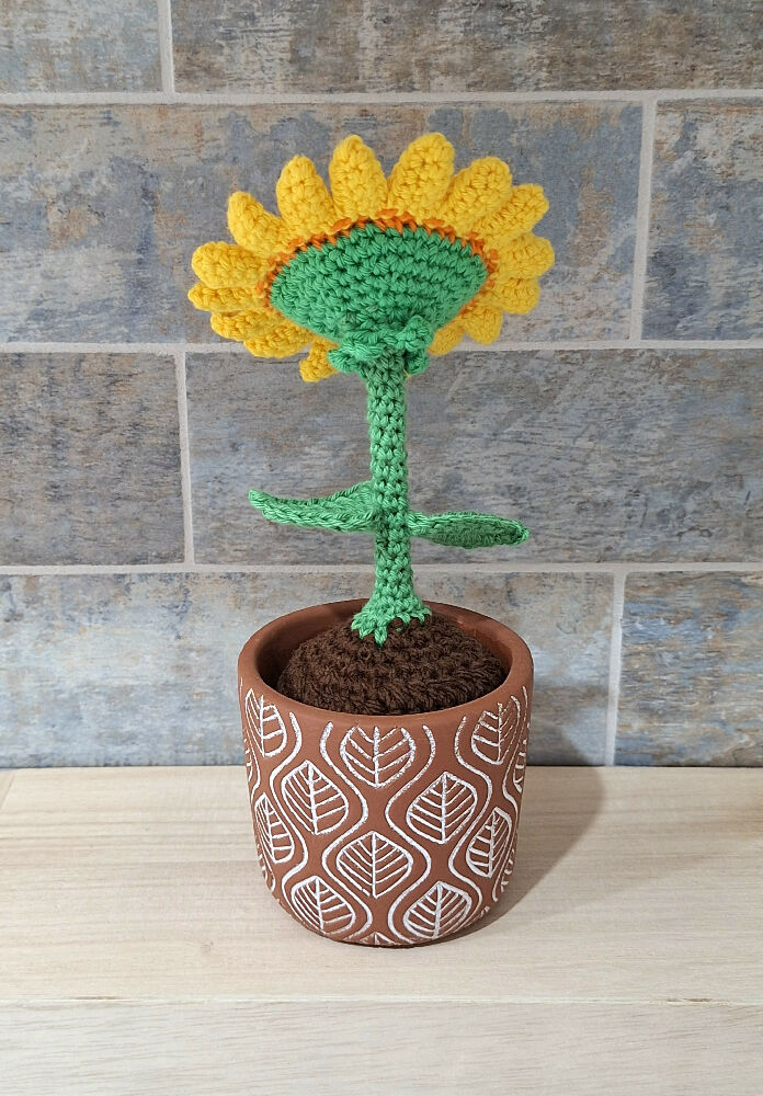 sunflower terracotta