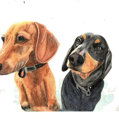 Watercolour Pet Portrait Commissions A4 size (8.3 X11.7 inches)