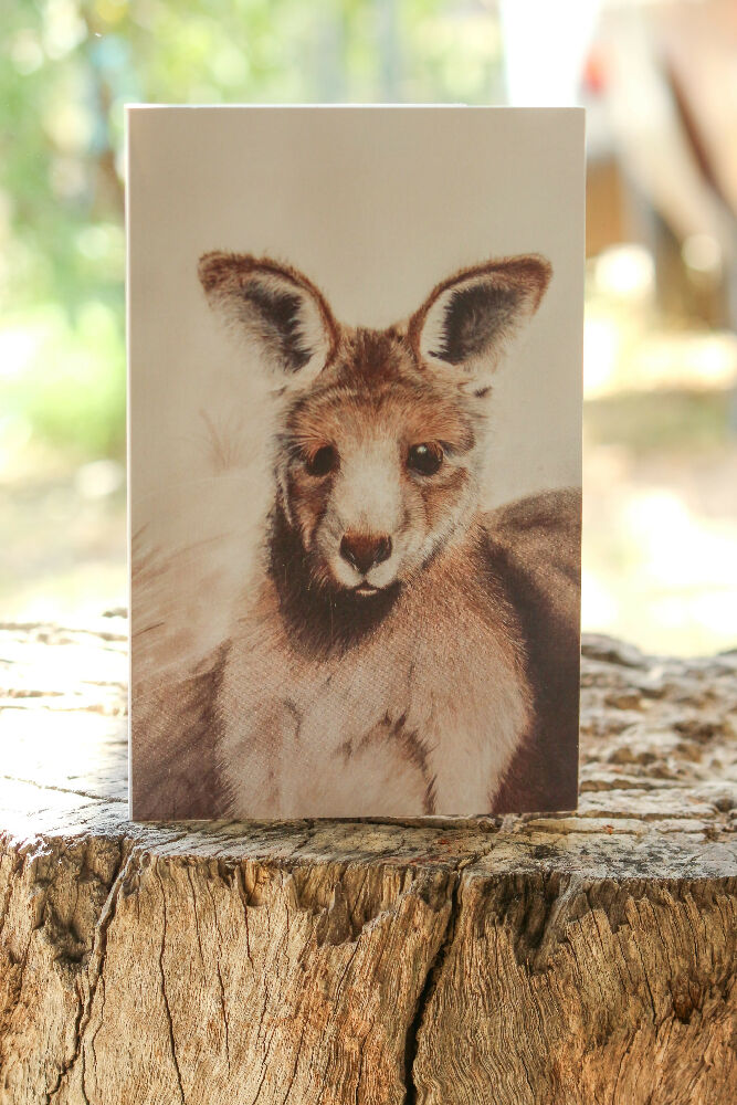 watercolor kangaroo greeting card