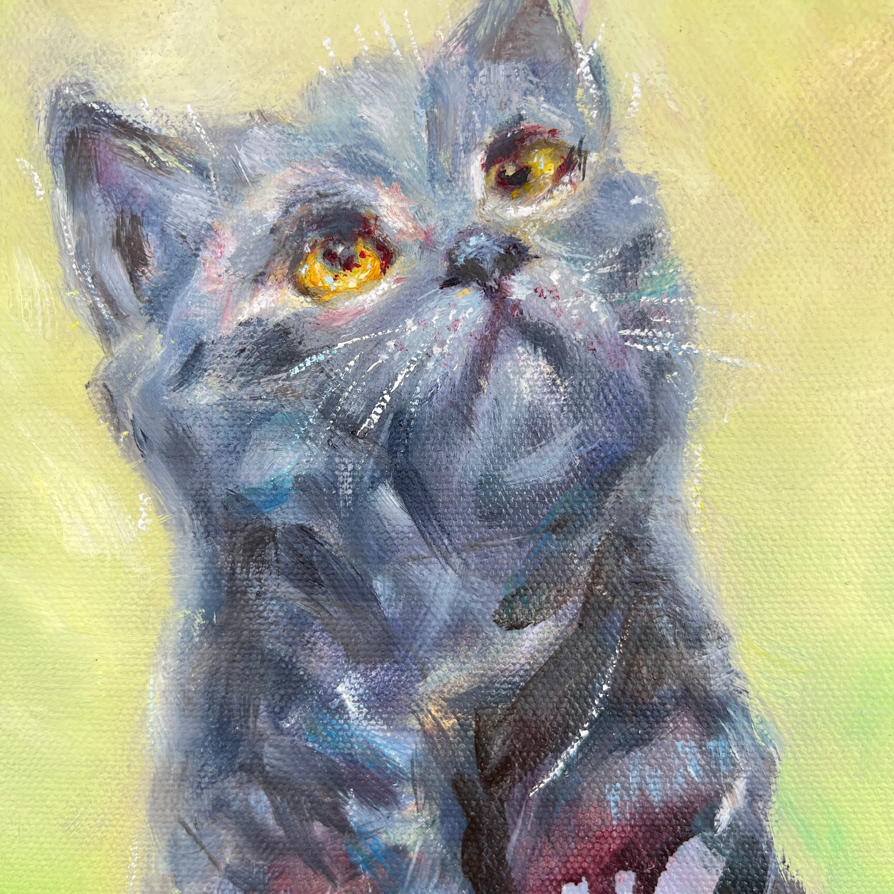 Original Black Cat Portrait - Eyes Full of Wonder