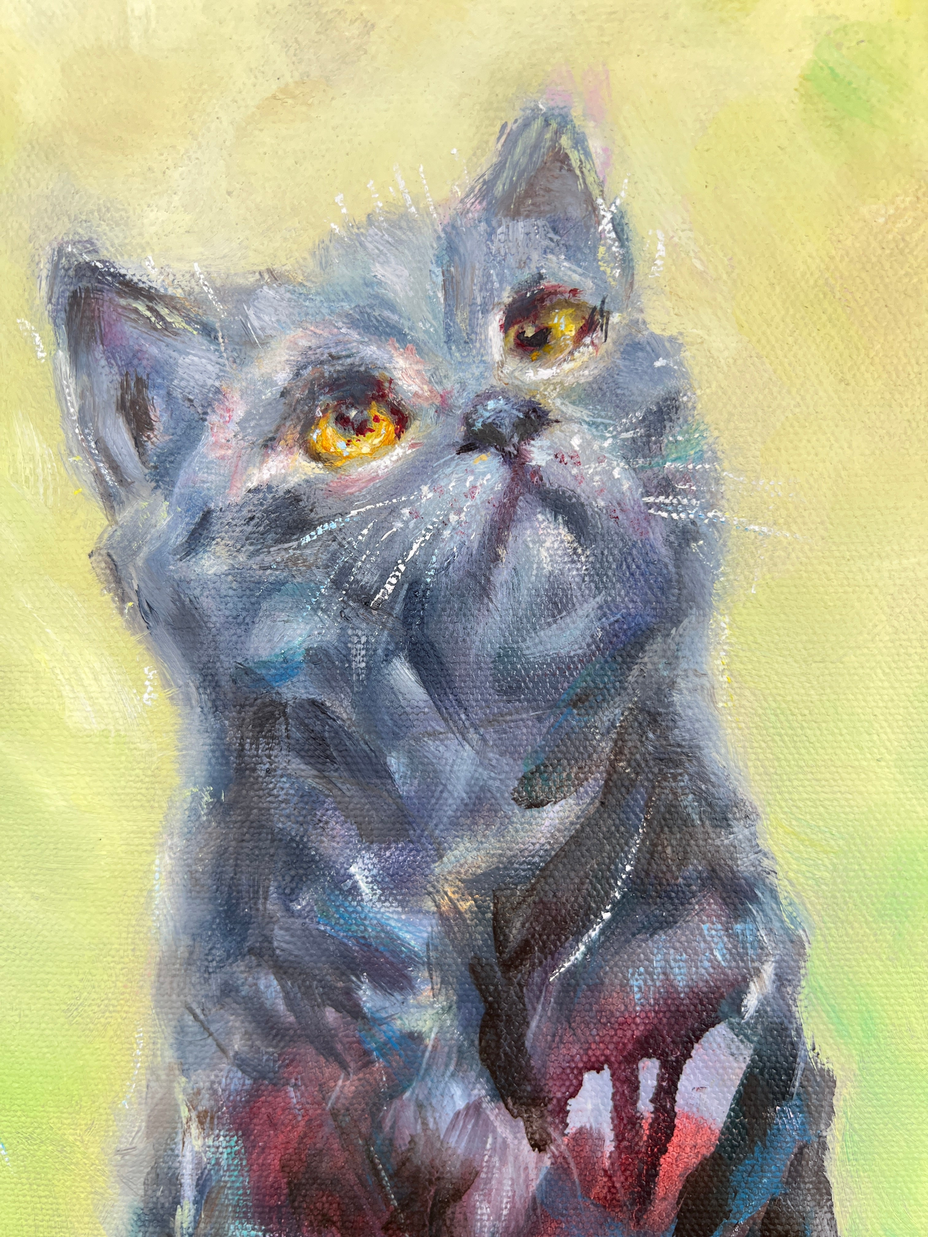 Original Black Cat Portrait - Eyes Full of Wonder