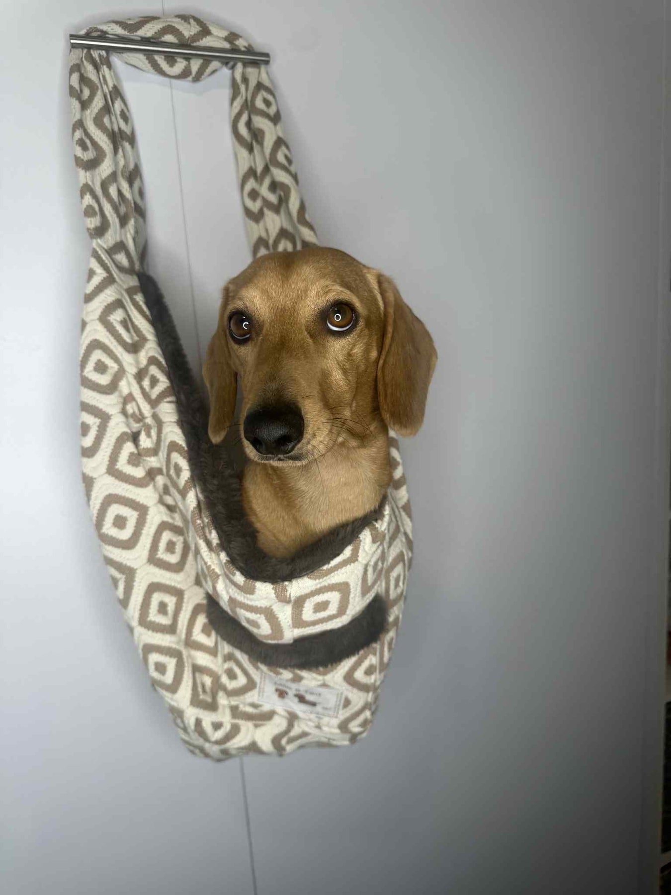 The Tediroo Sling - Pet carrier for dog, cat, rabbit, sling, bag, carry bag.