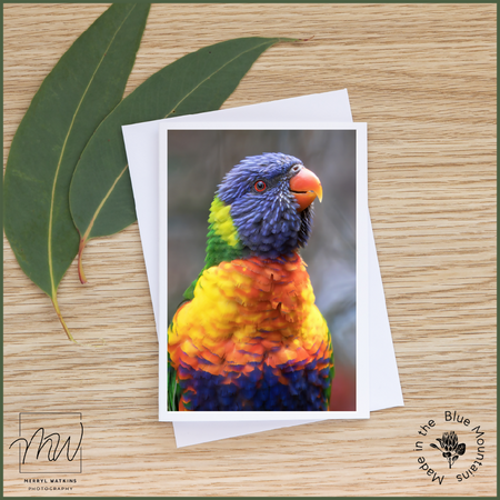 Blank Greeting Card - Rainbow Lorikeet Photo