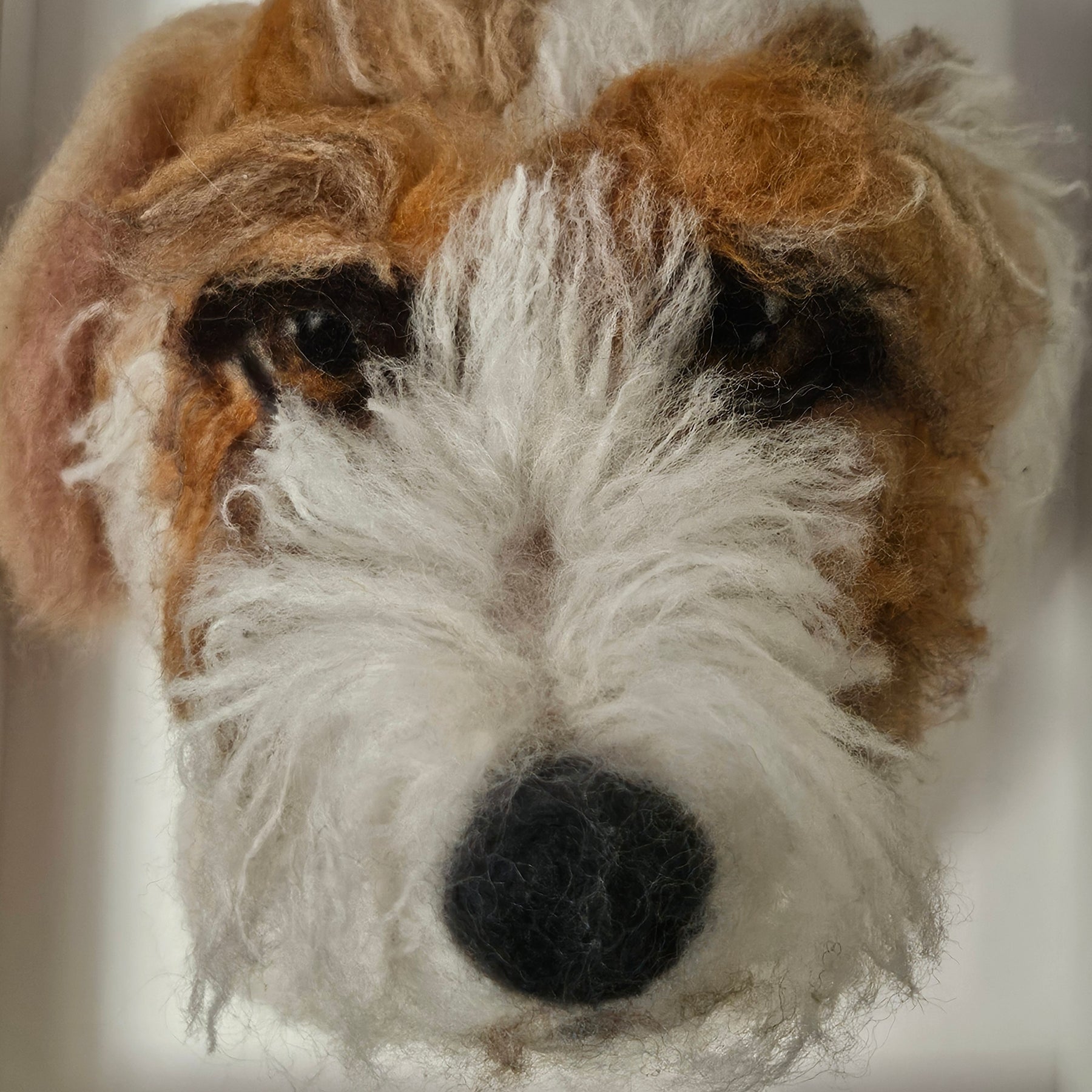 Custom 3D Fibre Art Framed Pawtrait