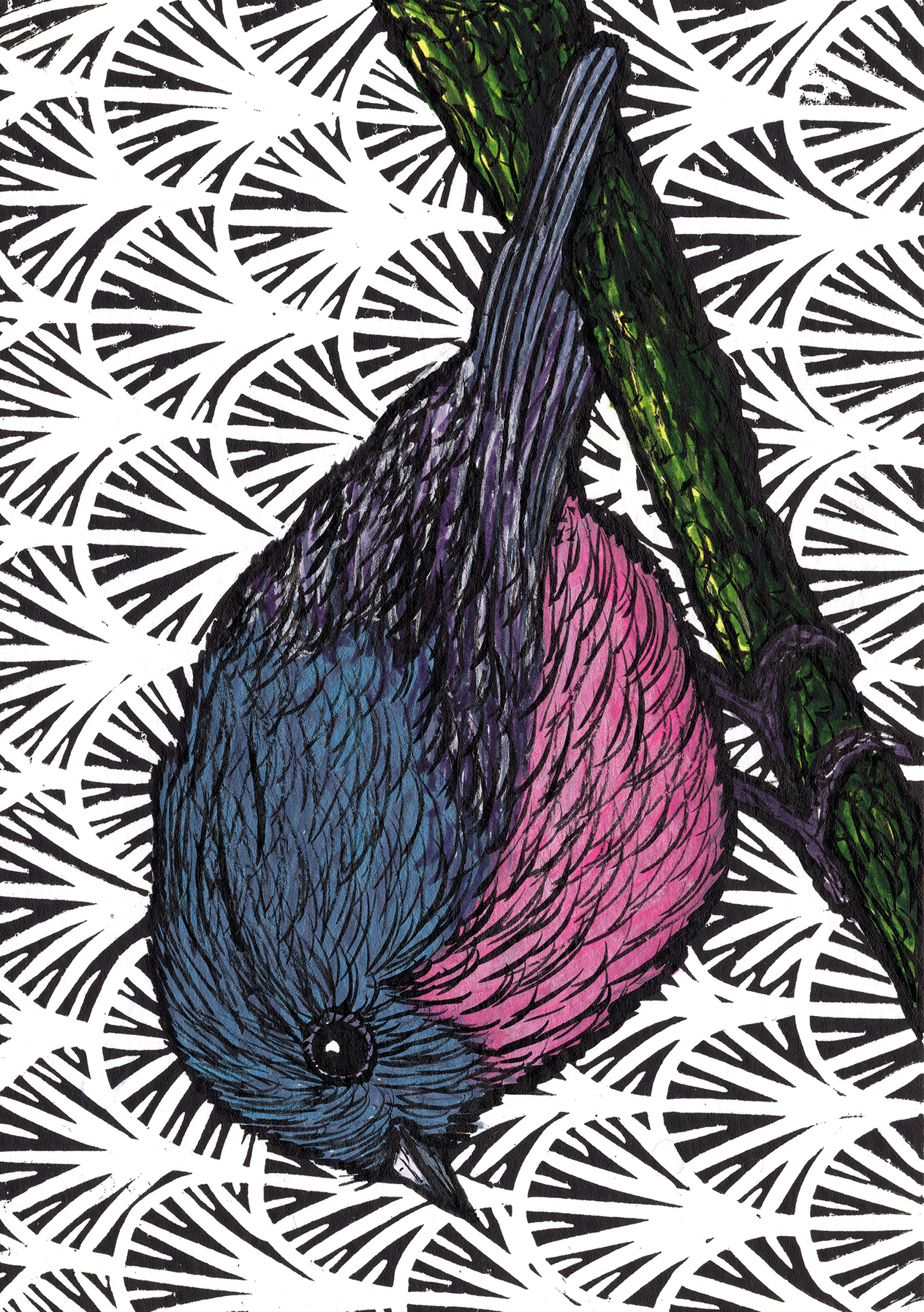 Bundle 8 Greeting Cards with Envelopes