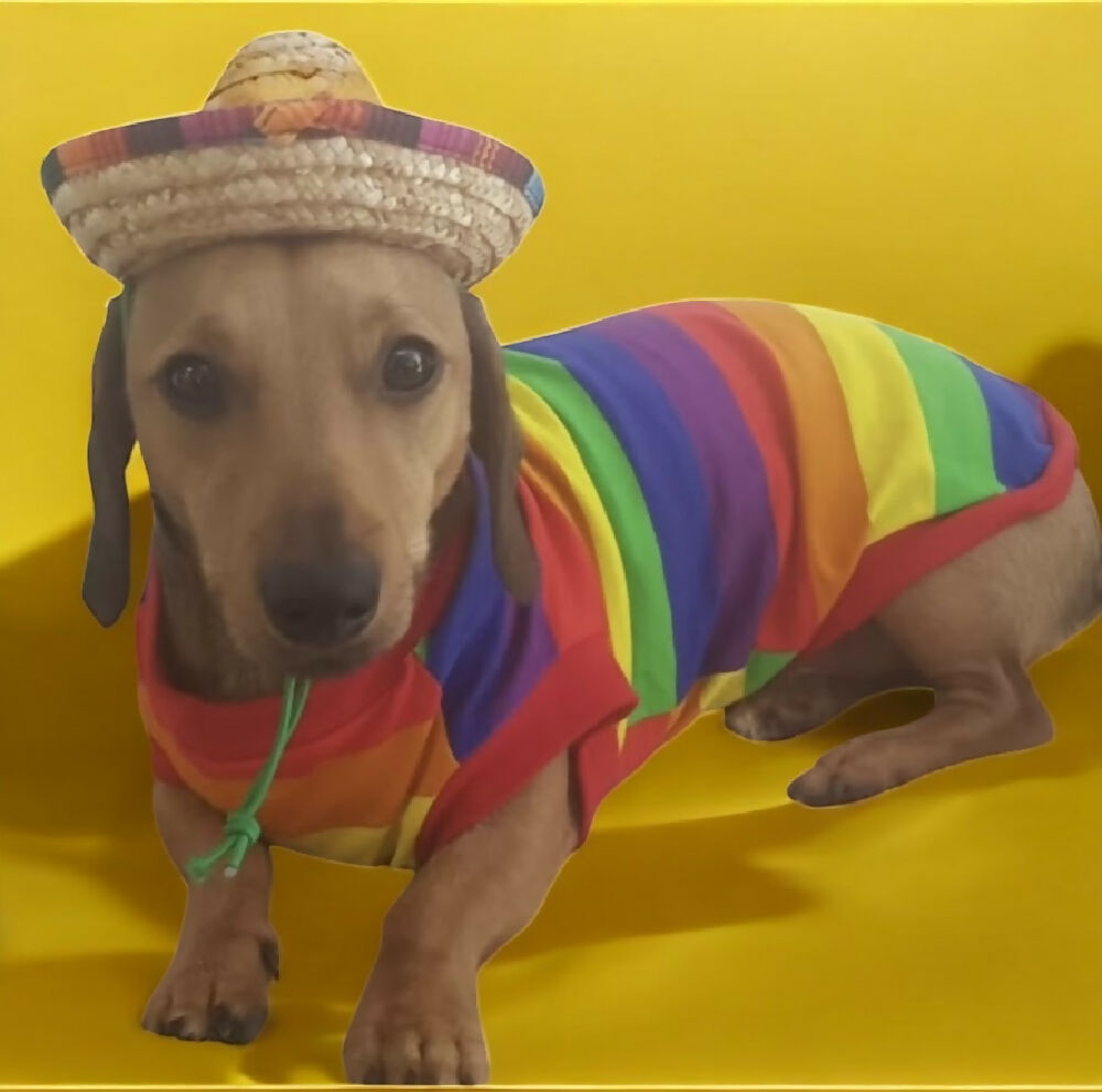 Photoroom_20250407_134318