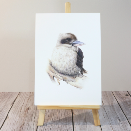 Wall Art Kookaburra Print