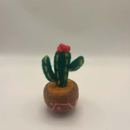 Needle felted cactus