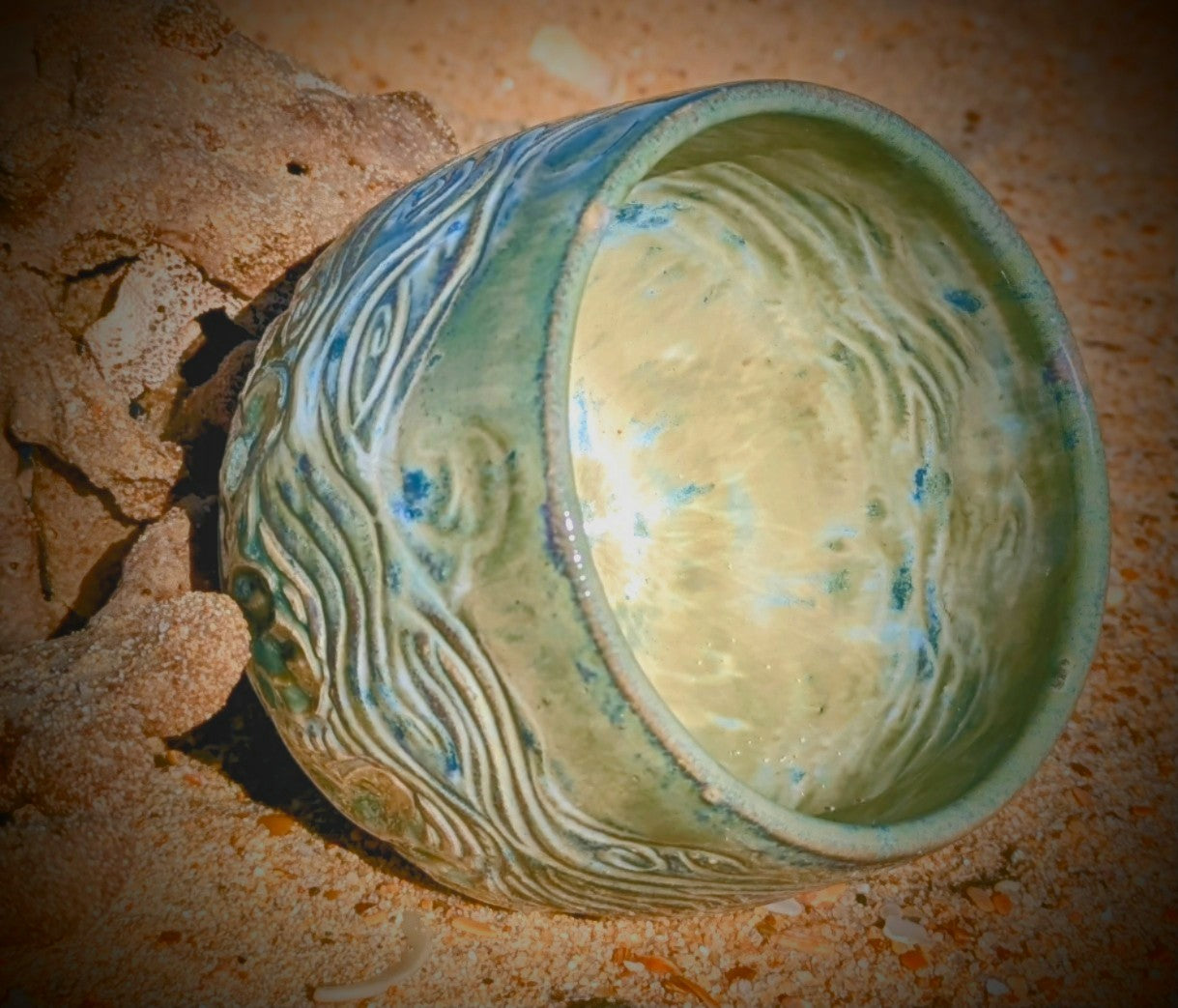 The Ocean in your Hand