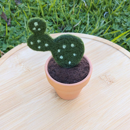 Needle Felted Succulent in Pot - Paddle Cactus / Prickly Pear