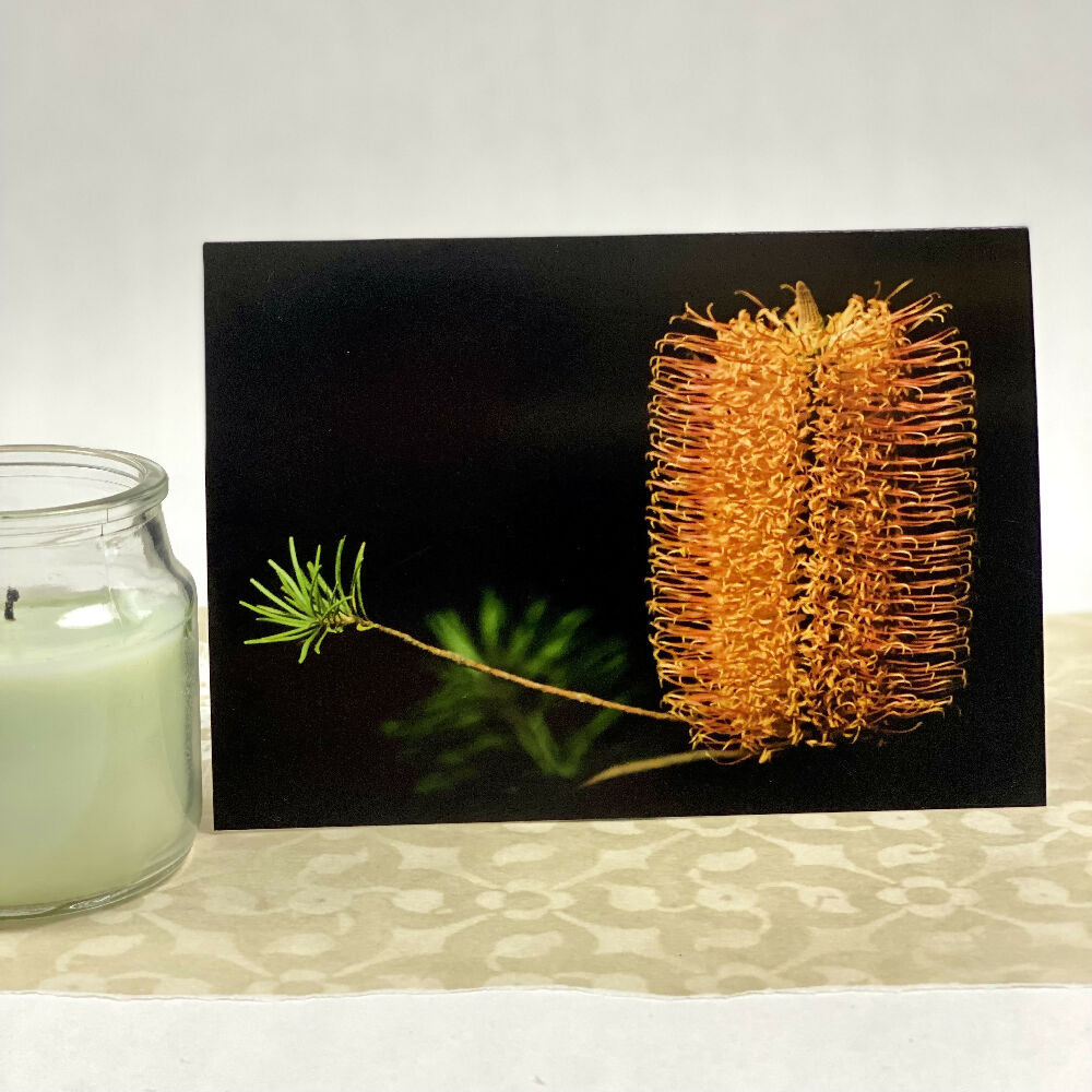 banksia blank greeting card