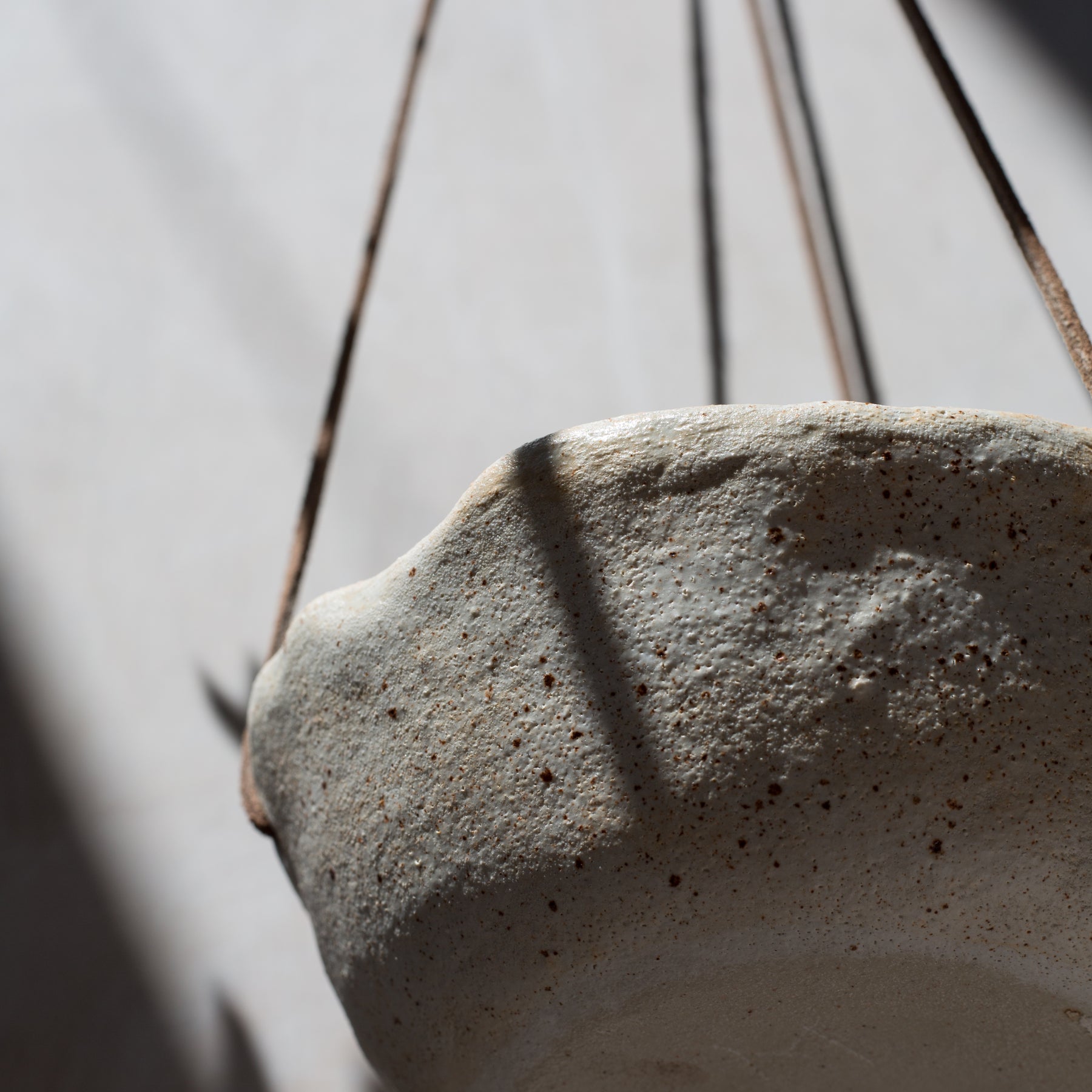 Specked Hanging Planter