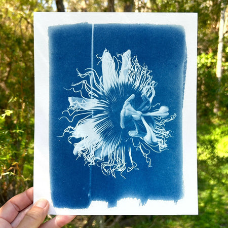 Passionfruit Flower Art, Original Cyanotype, Floral Print, Passiflora 8x10 inch