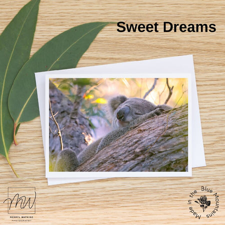 Blank Greeting Card - Sweet Dreams - Koala