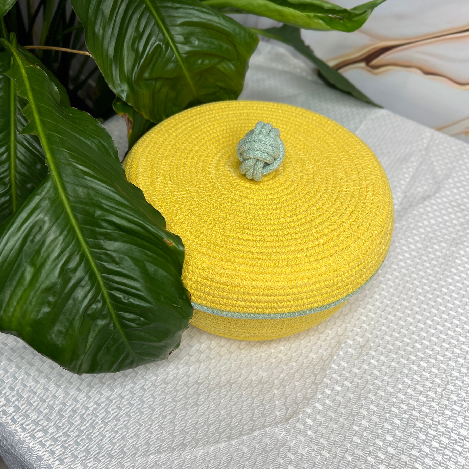 Sunny Rope Basket with Lid