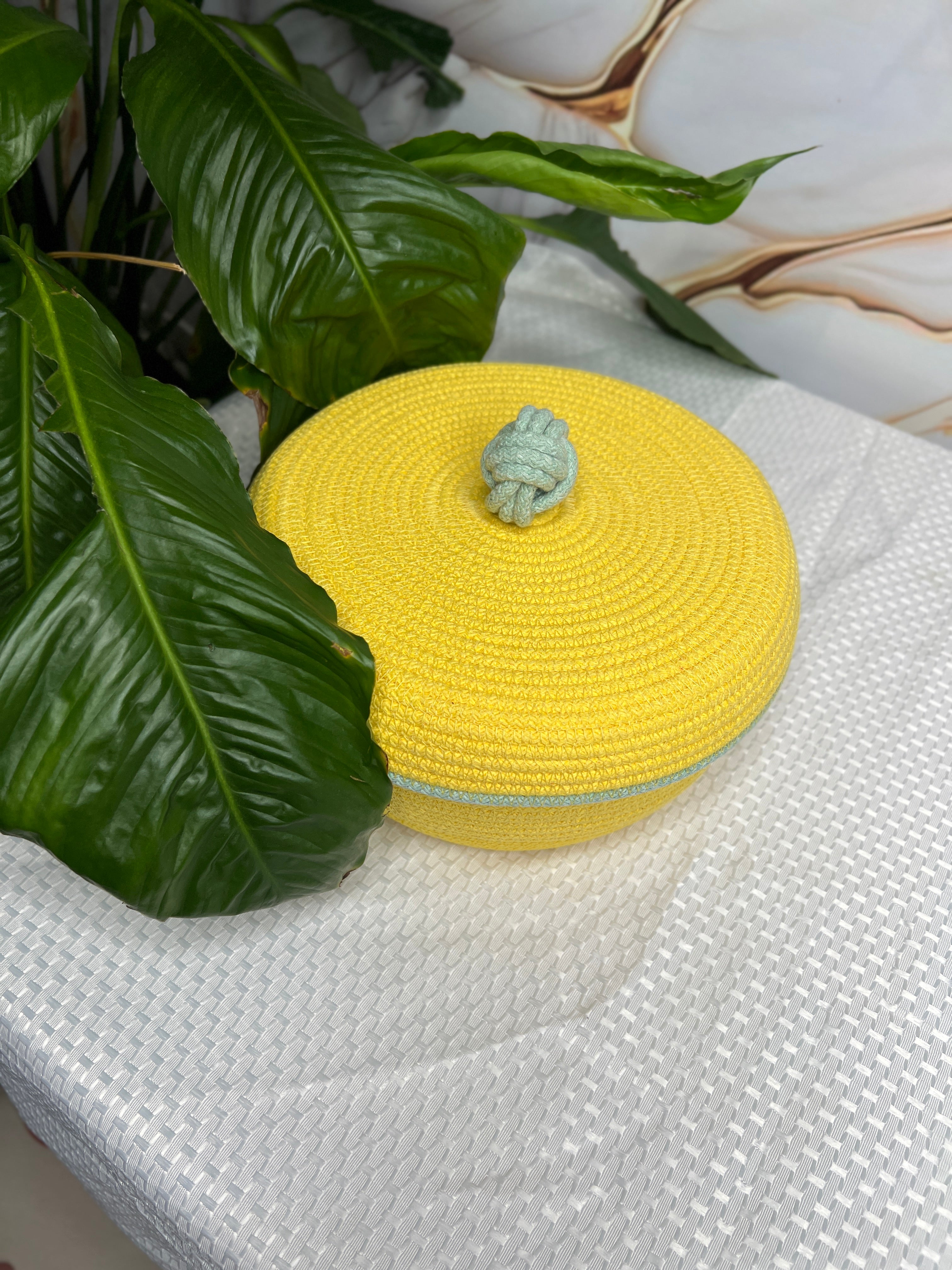 Sunny Rope Basket with Lid