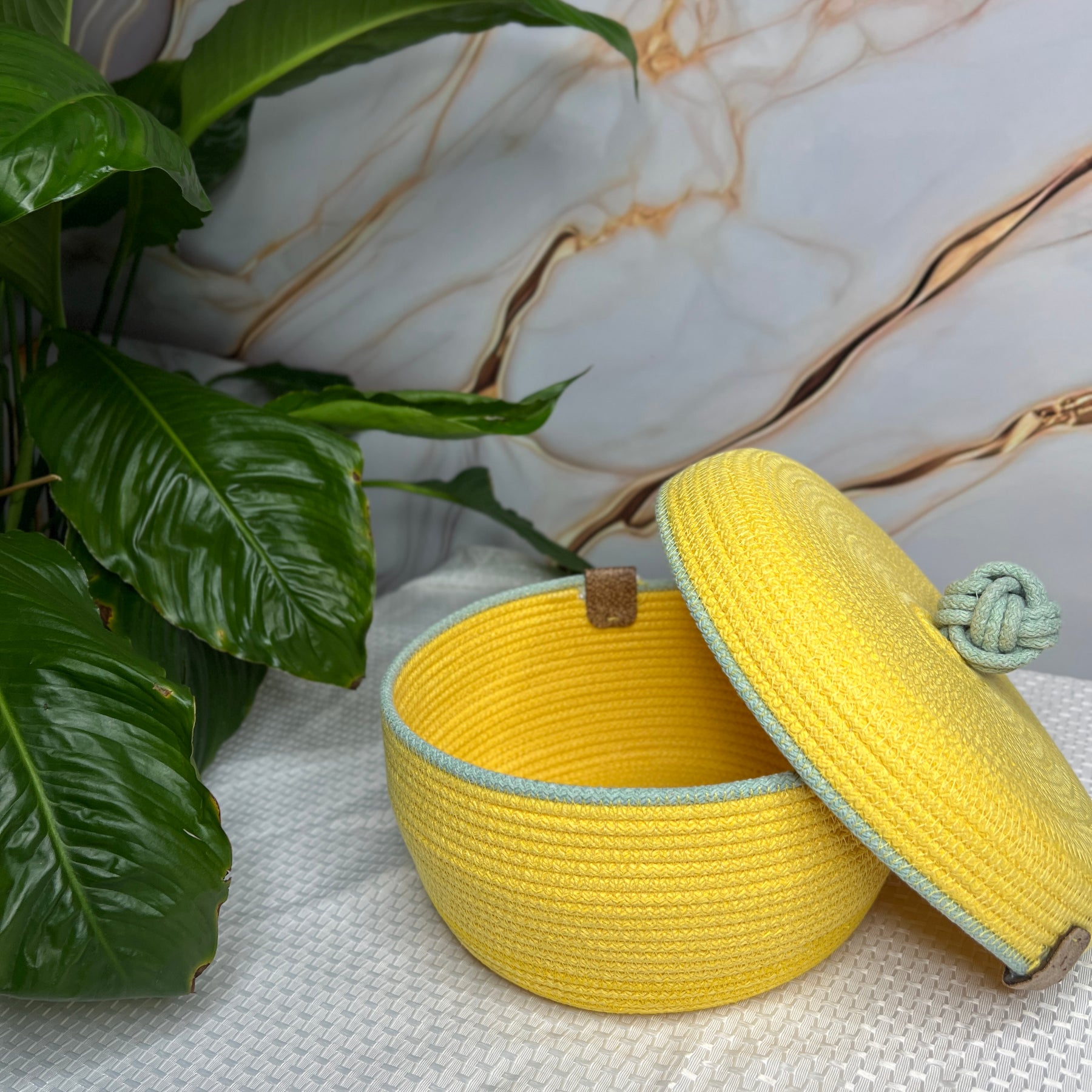 Sunny Rope Basket with Lid