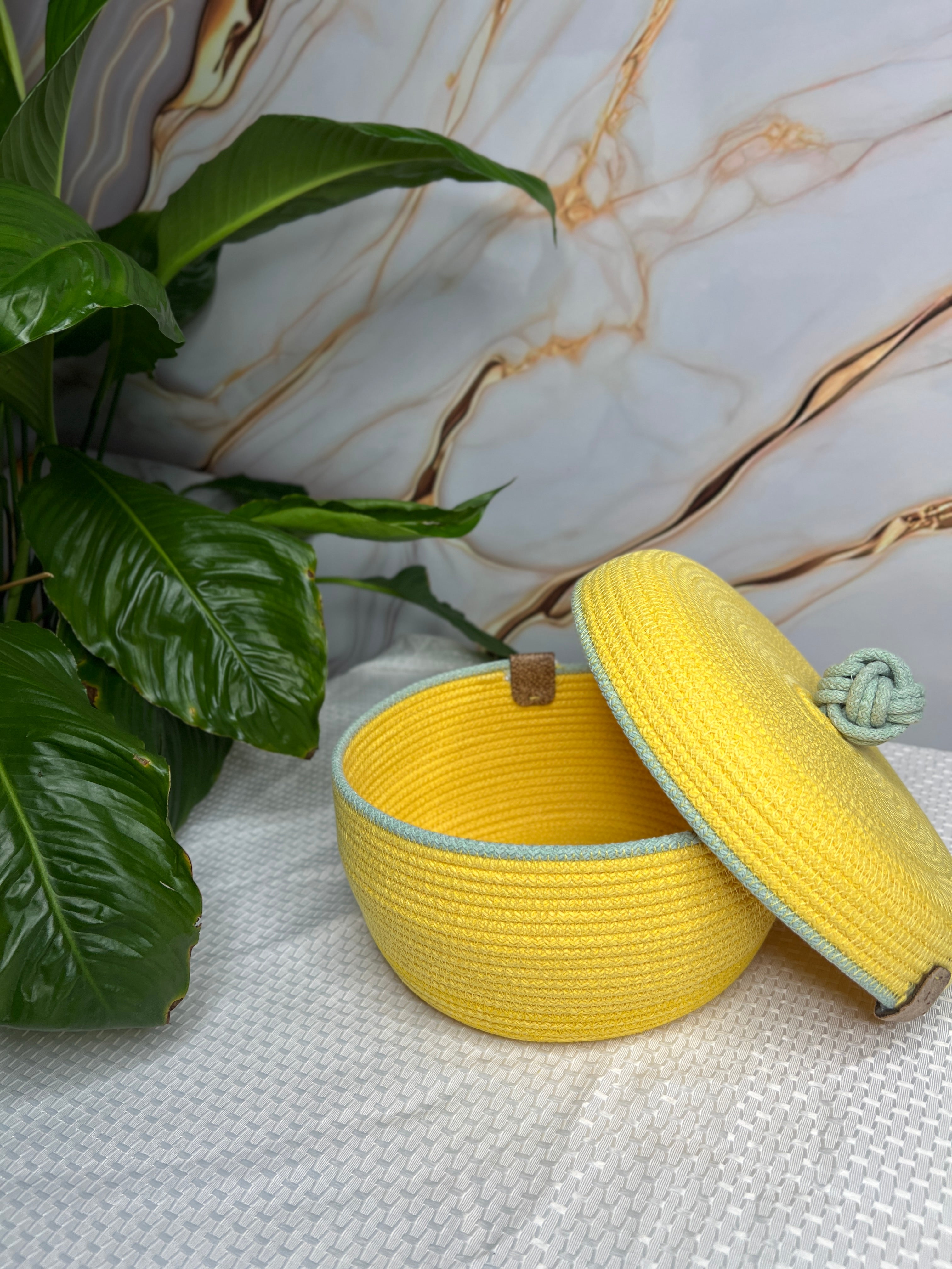 Sunny Rope Basket with Lid