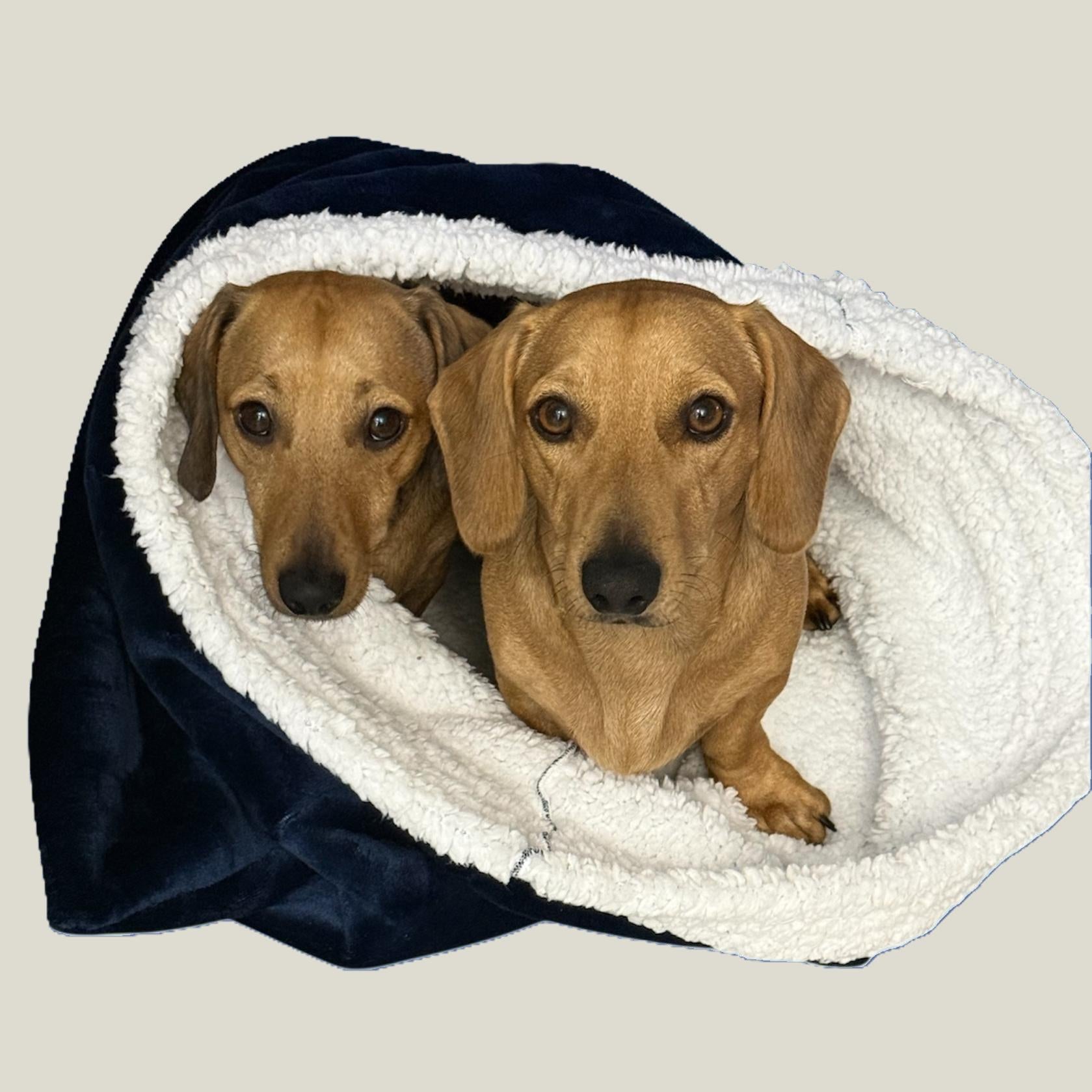 Pet Cozy sleeping snuggle sack for bed. Suits dog, cat, rabbit,lizard