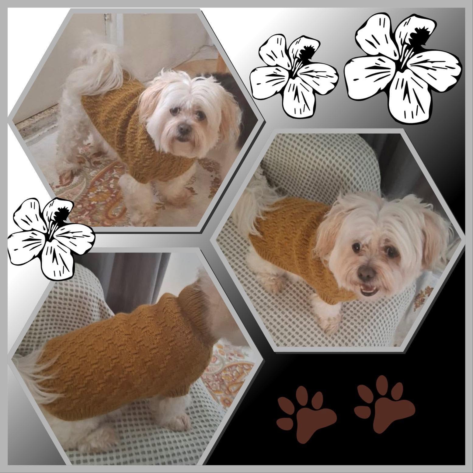 Pet Jumpers - 100% wool, hand knitted dog or cat jumpers - Diamond Pattern
