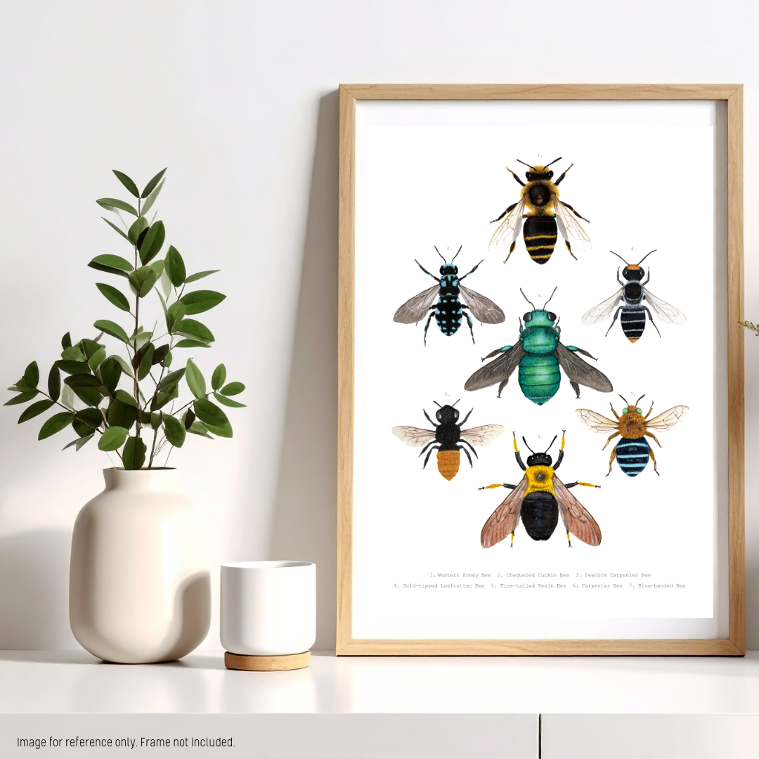 Watercolour Art Print - The Insect Series - 'Bee Collage'