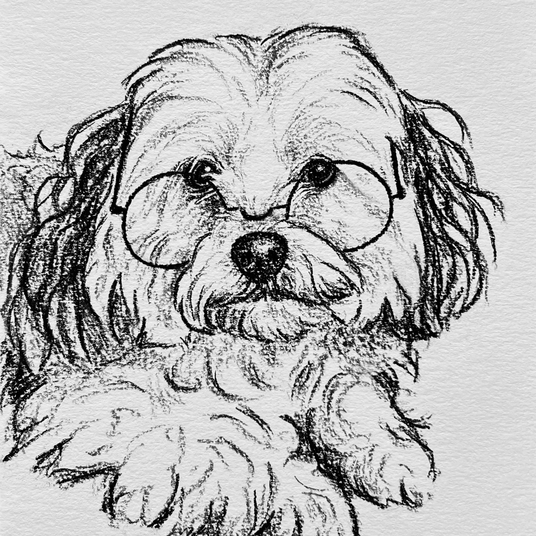 Custom Pet Portrait | Hand Drawn Charcoal Sketch