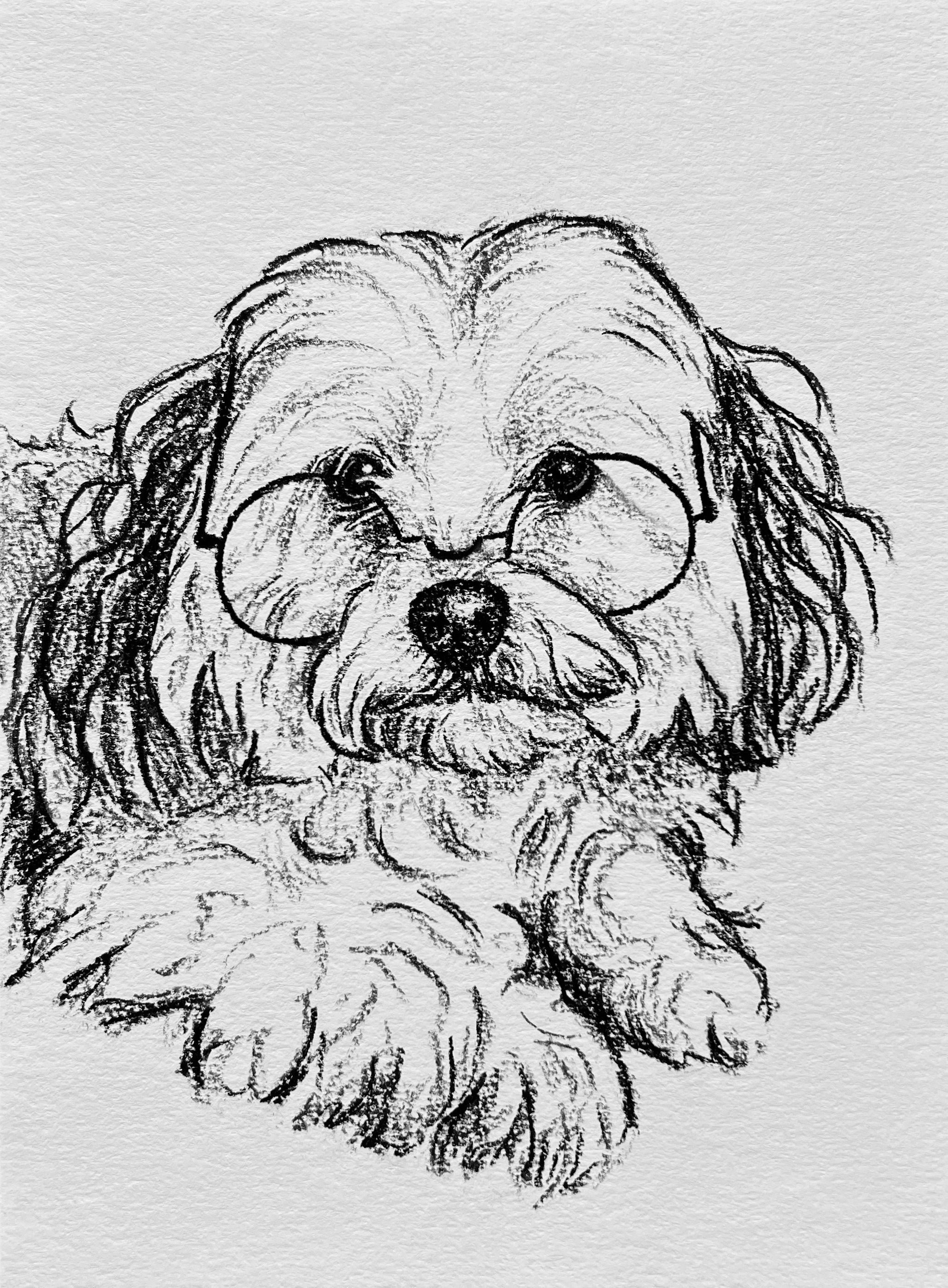 Custom Pet Portrait | Hand Drawn Charcoal Sketch