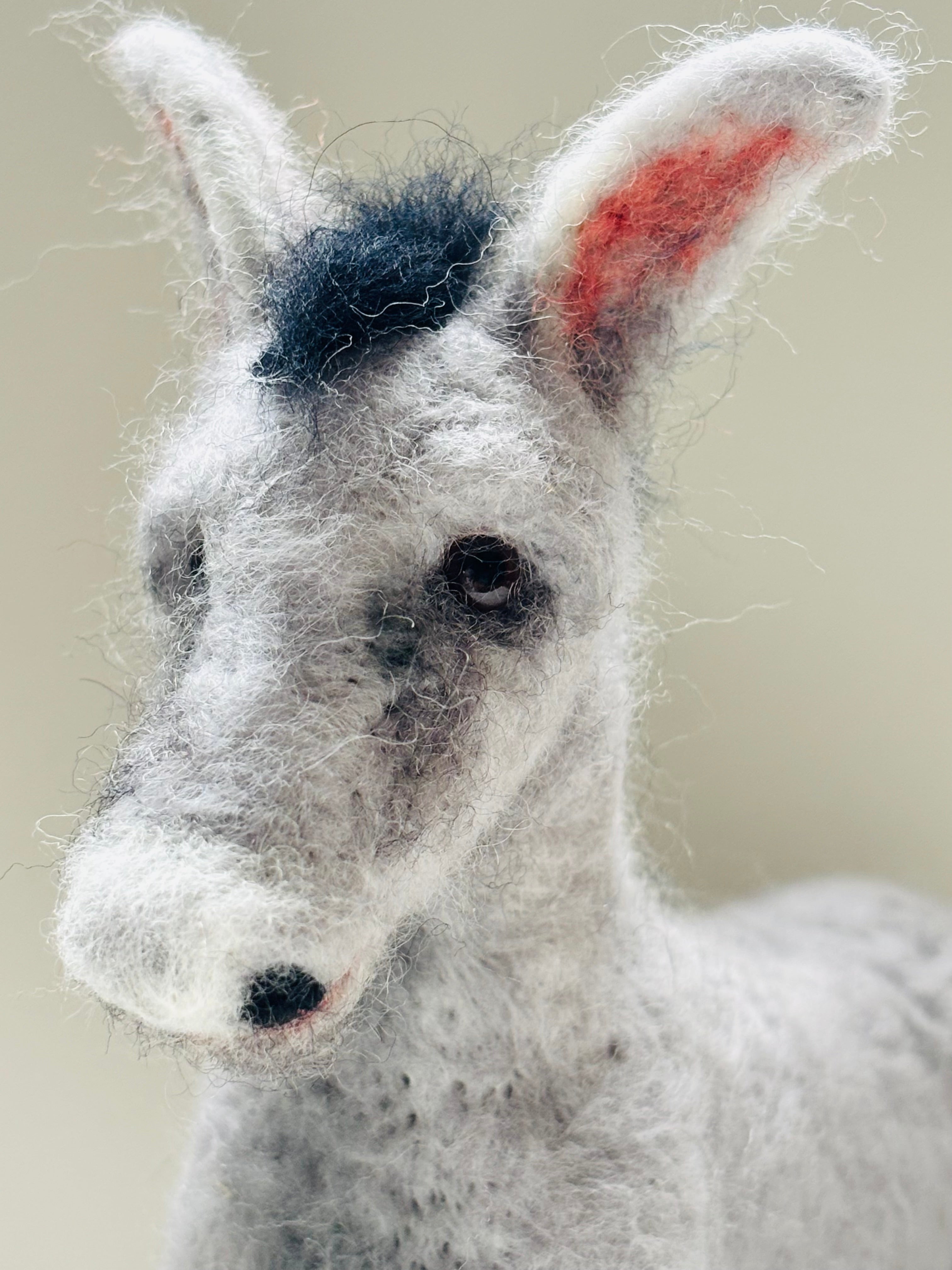 Needle Felt Donkey Animal Art Doll posable Unique