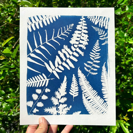 Fern Print, Original Cyanotype, 8x10 inches, Botanical Art Print