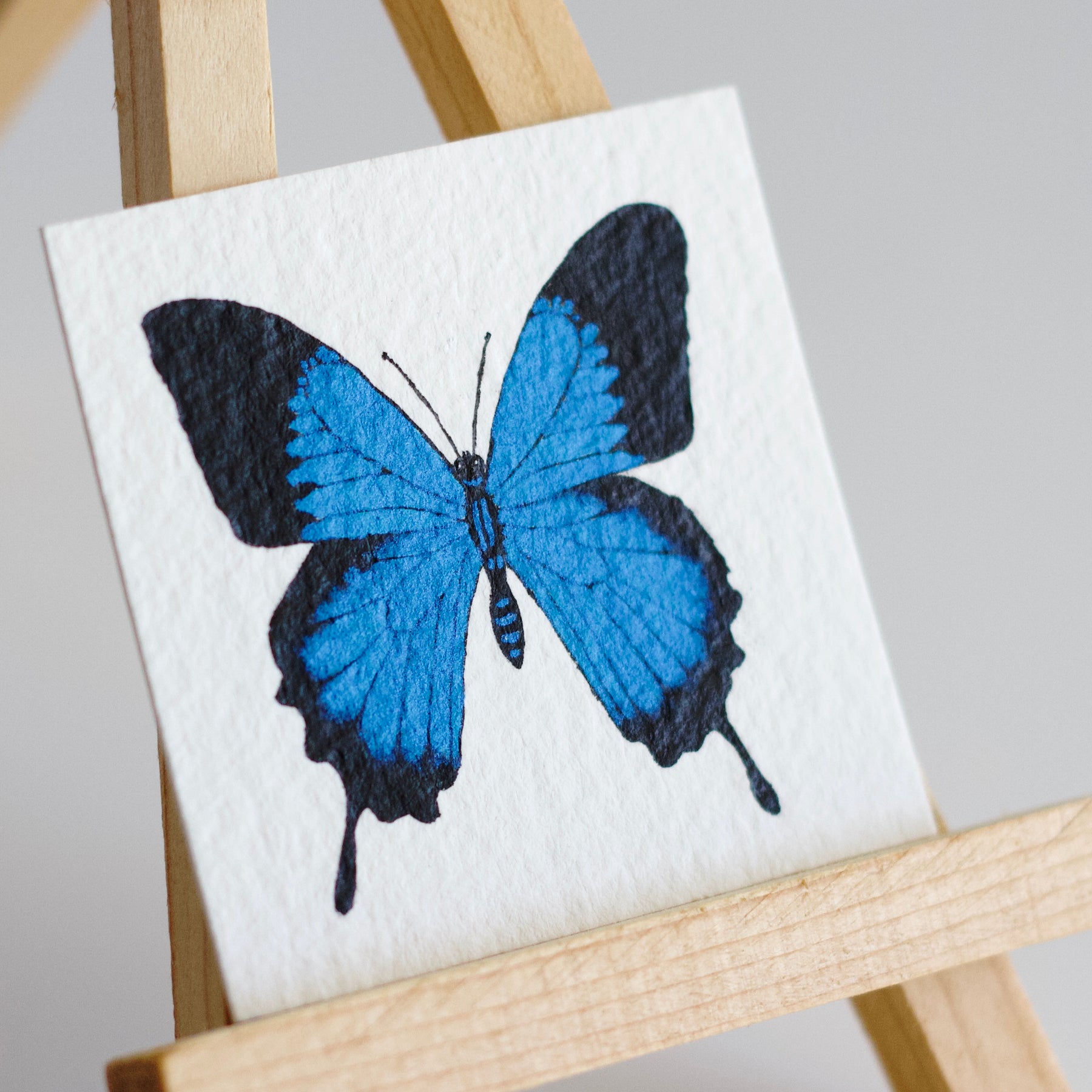 Miniature Ulysses Butterfly Watercolour Painting