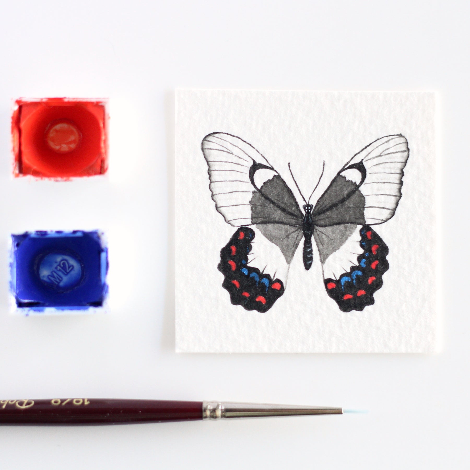 Orchard Swallowtail Butterfly Miniature Watercolour Painting