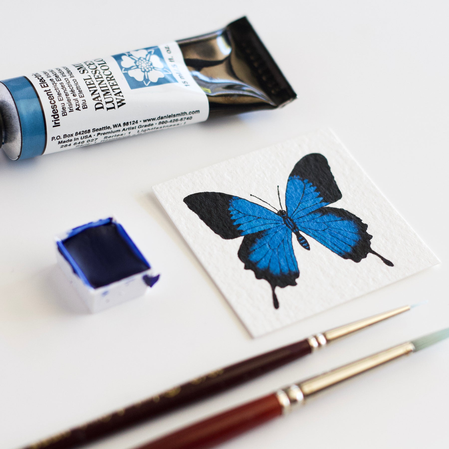 Miniature Ulysses Butterfly Watercolour Painting