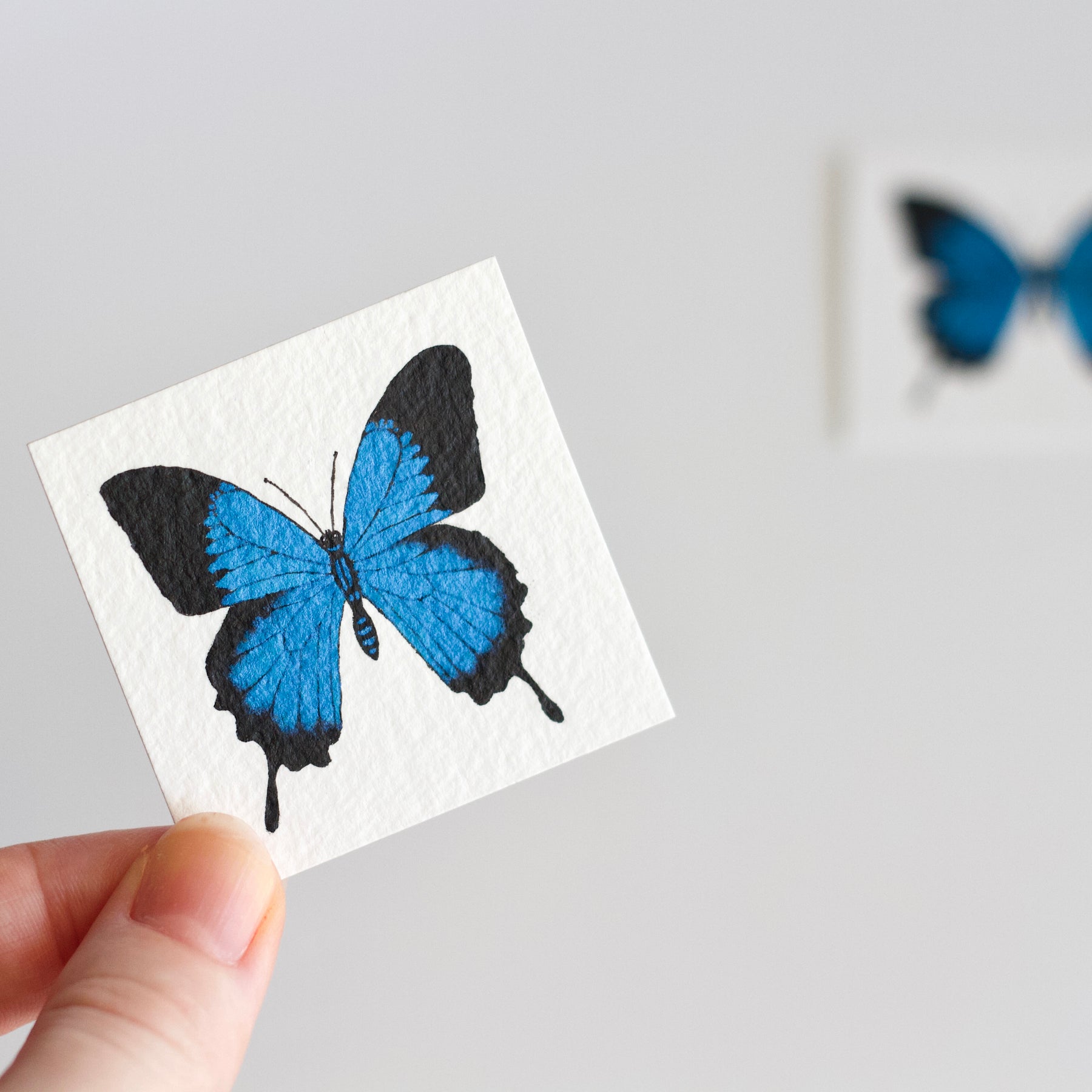 Miniature Ulysses Butterfly Watercolour Painting