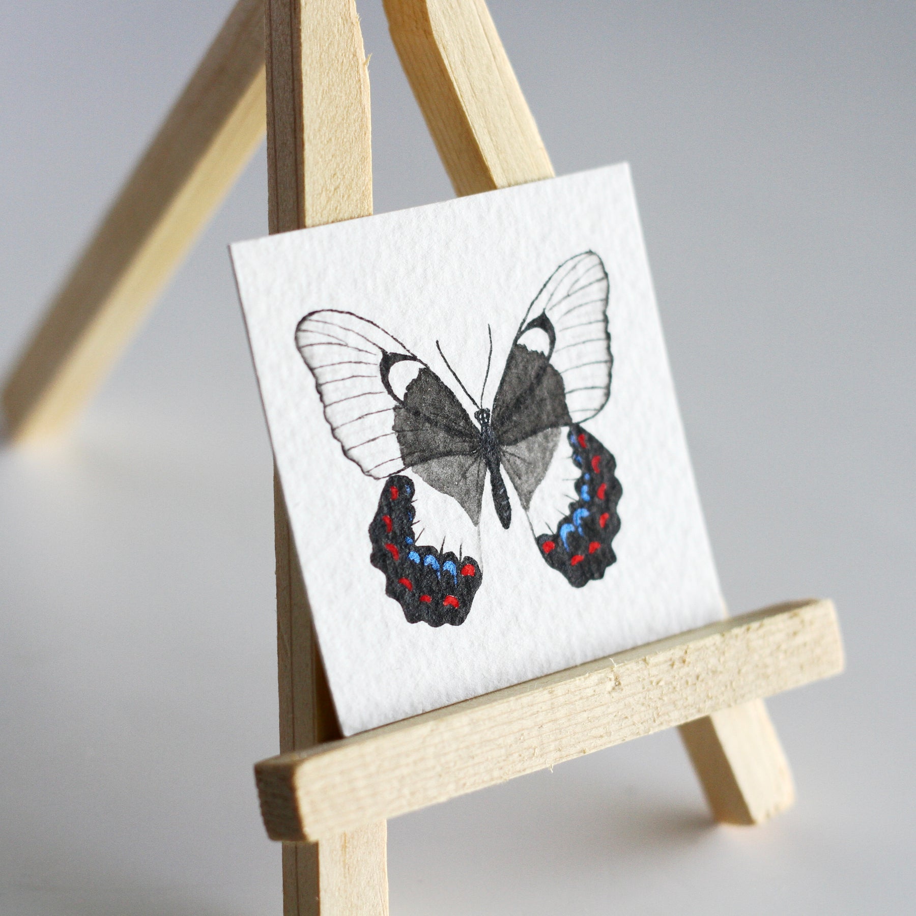 Orchard Swallowtail Butterfly Miniature Watercolour Painting