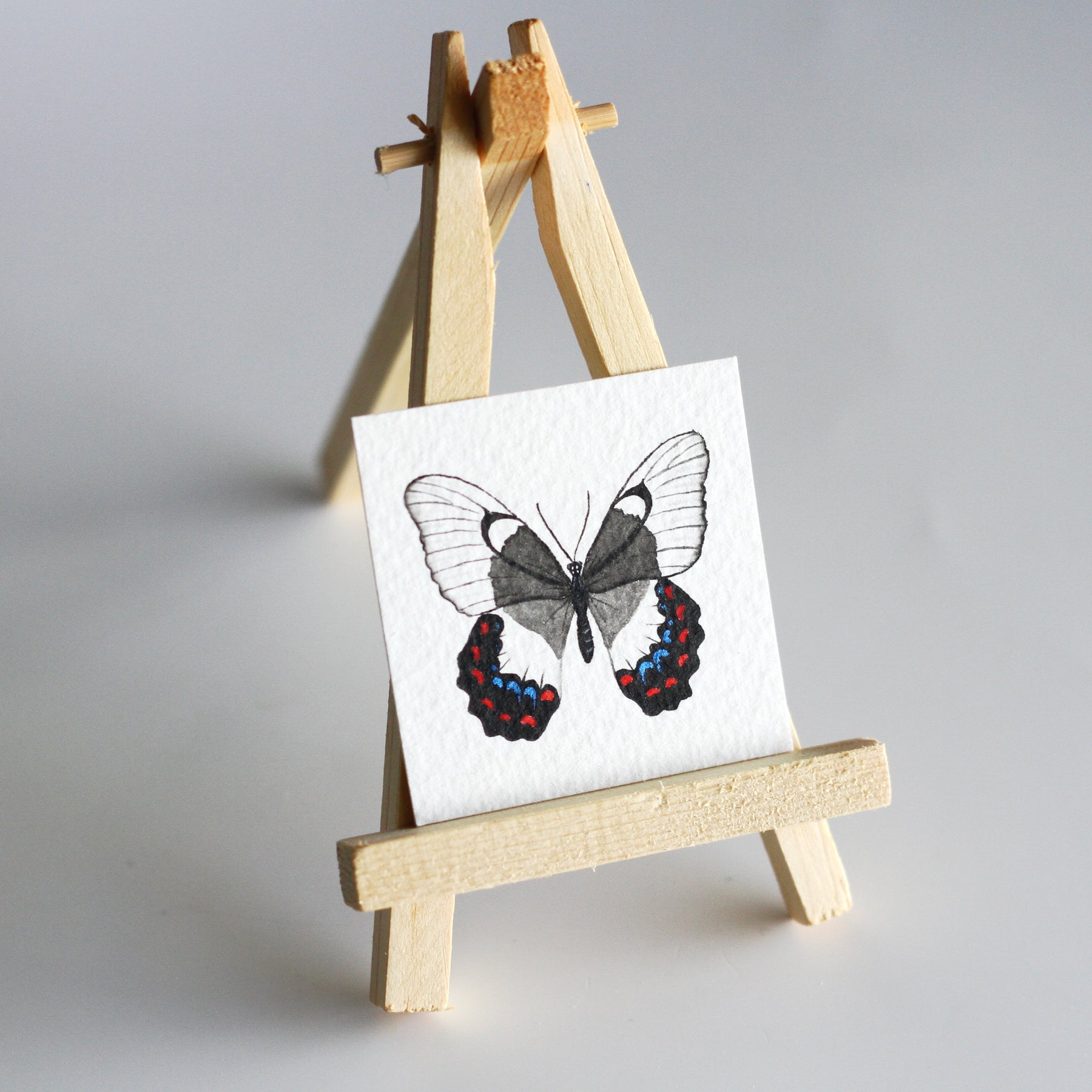 Orchard Swallowtail Butterfly Miniature Watercolour Painting