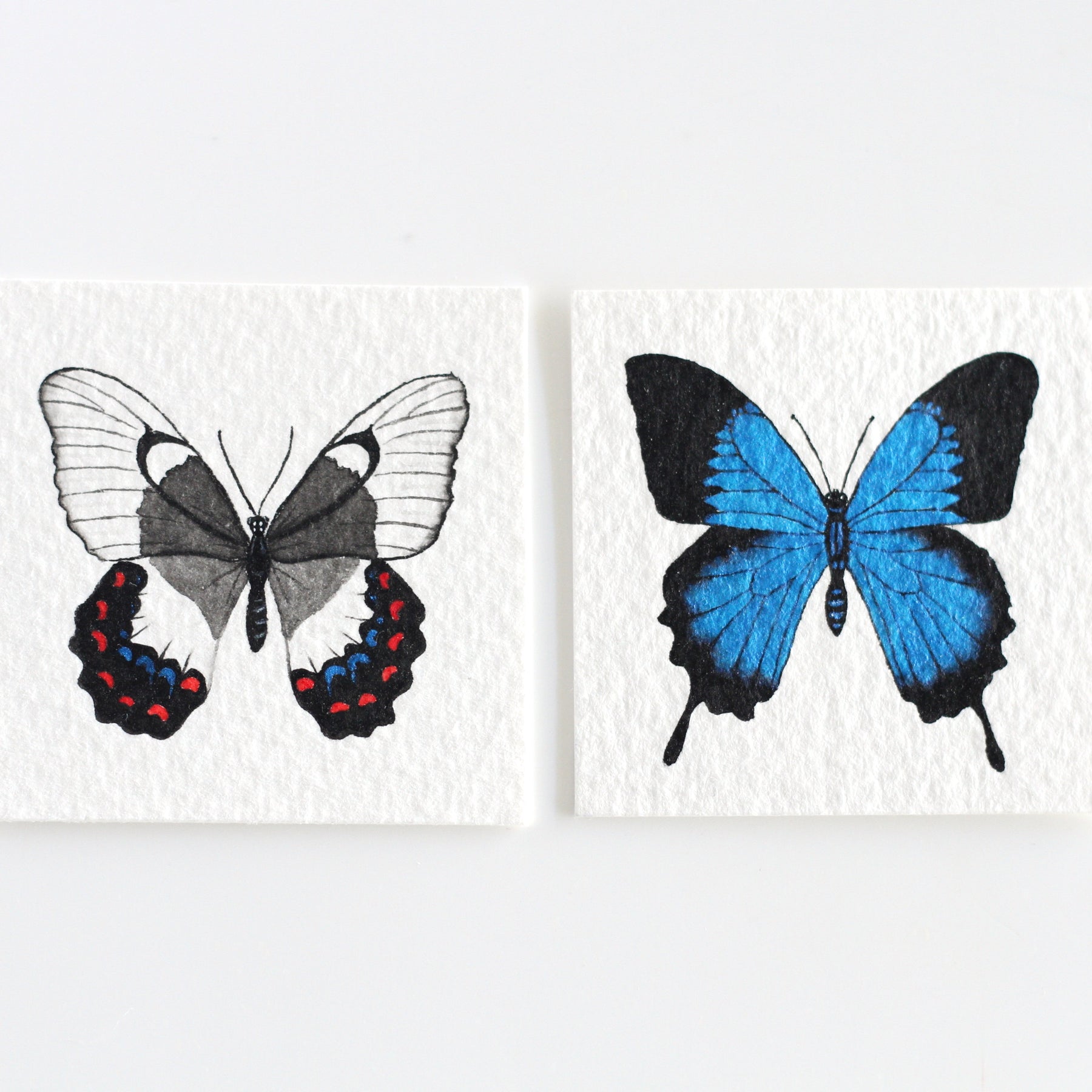 Orchard Swallowtail Butterfly Miniature Watercolour Painting