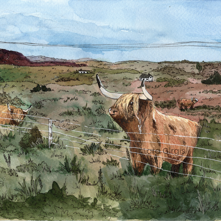 Highland Cows - art print