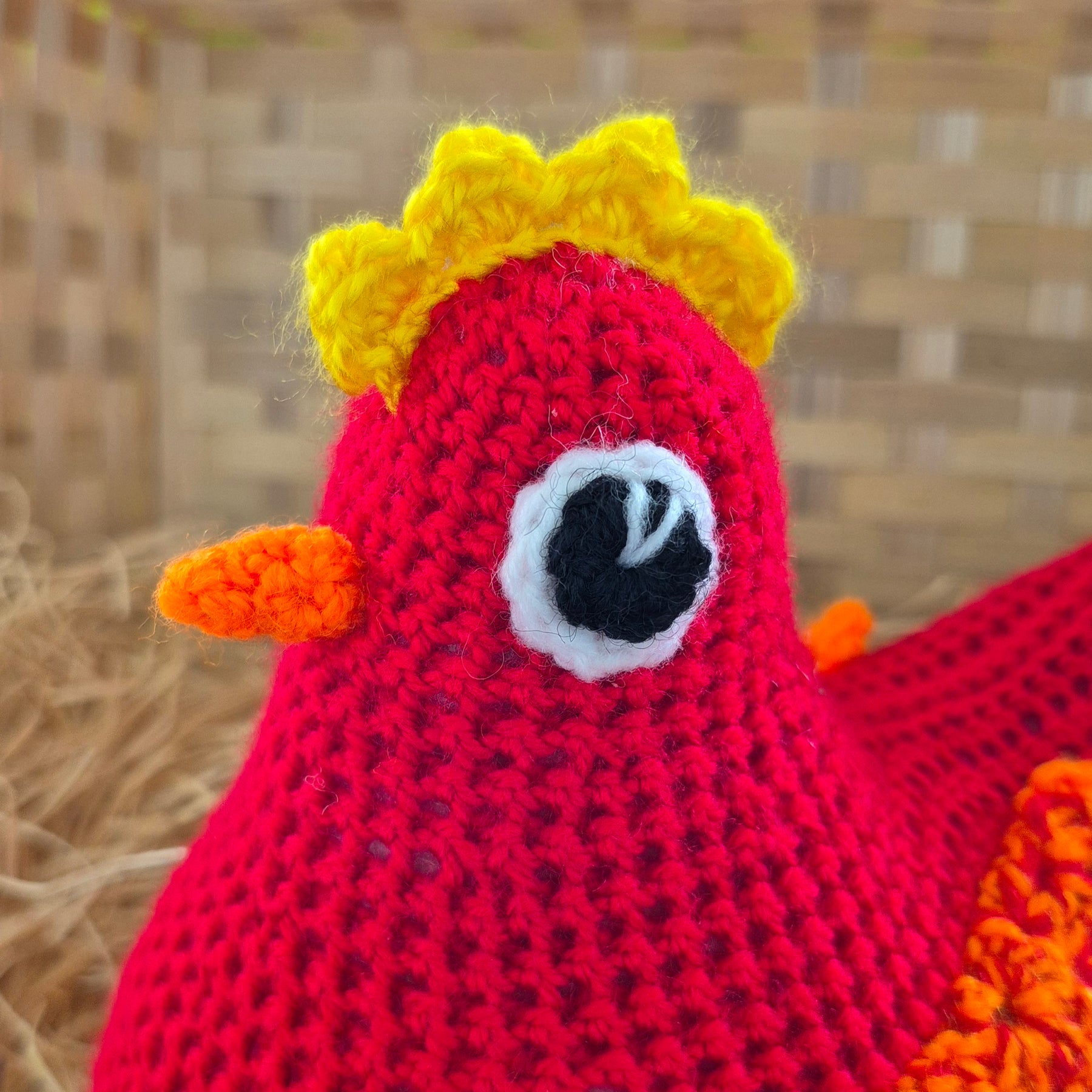 Robyn - The Cackleberry Comfort Chicken
