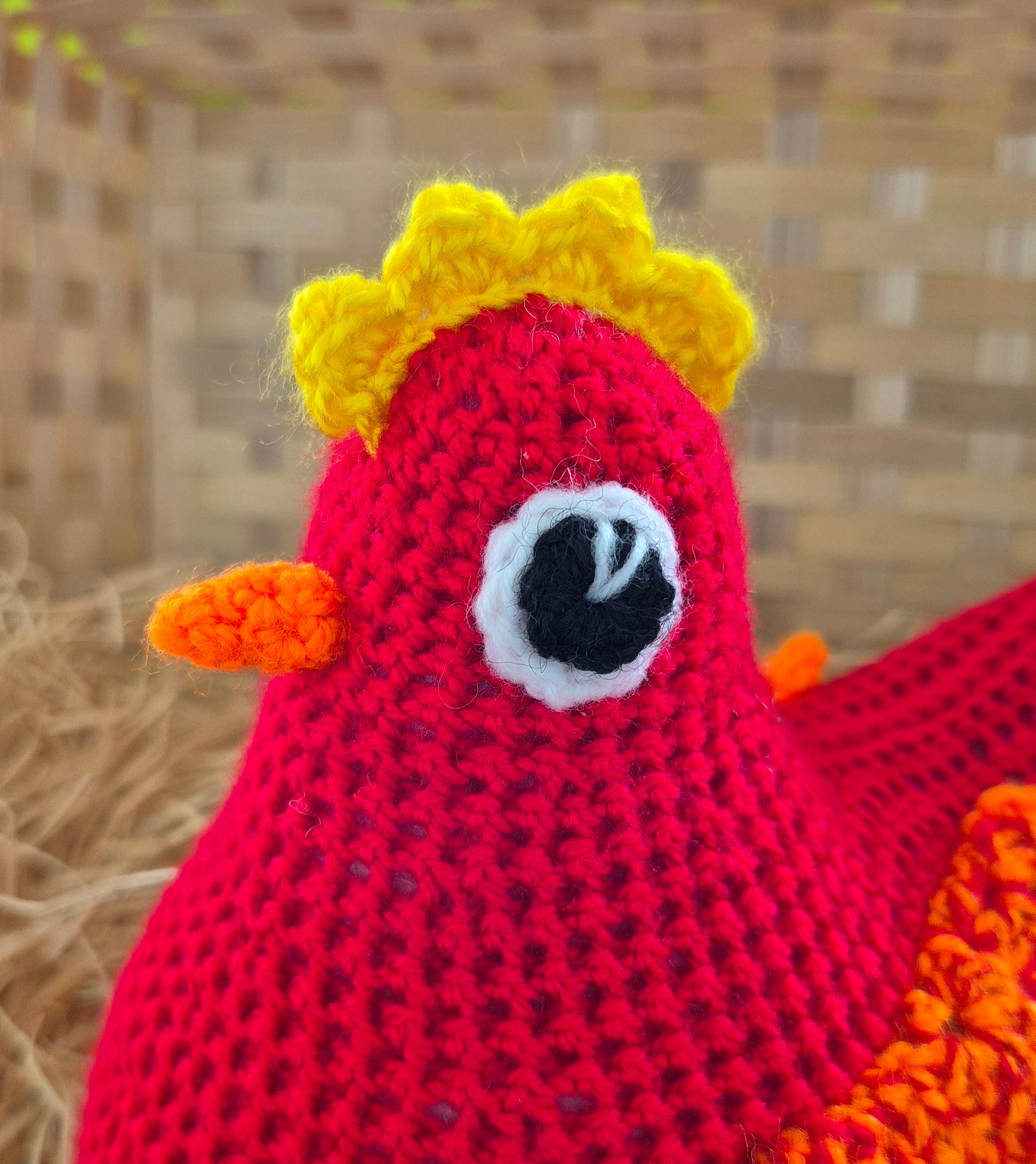 Robyn - The Cackleberry Comfort Chicken