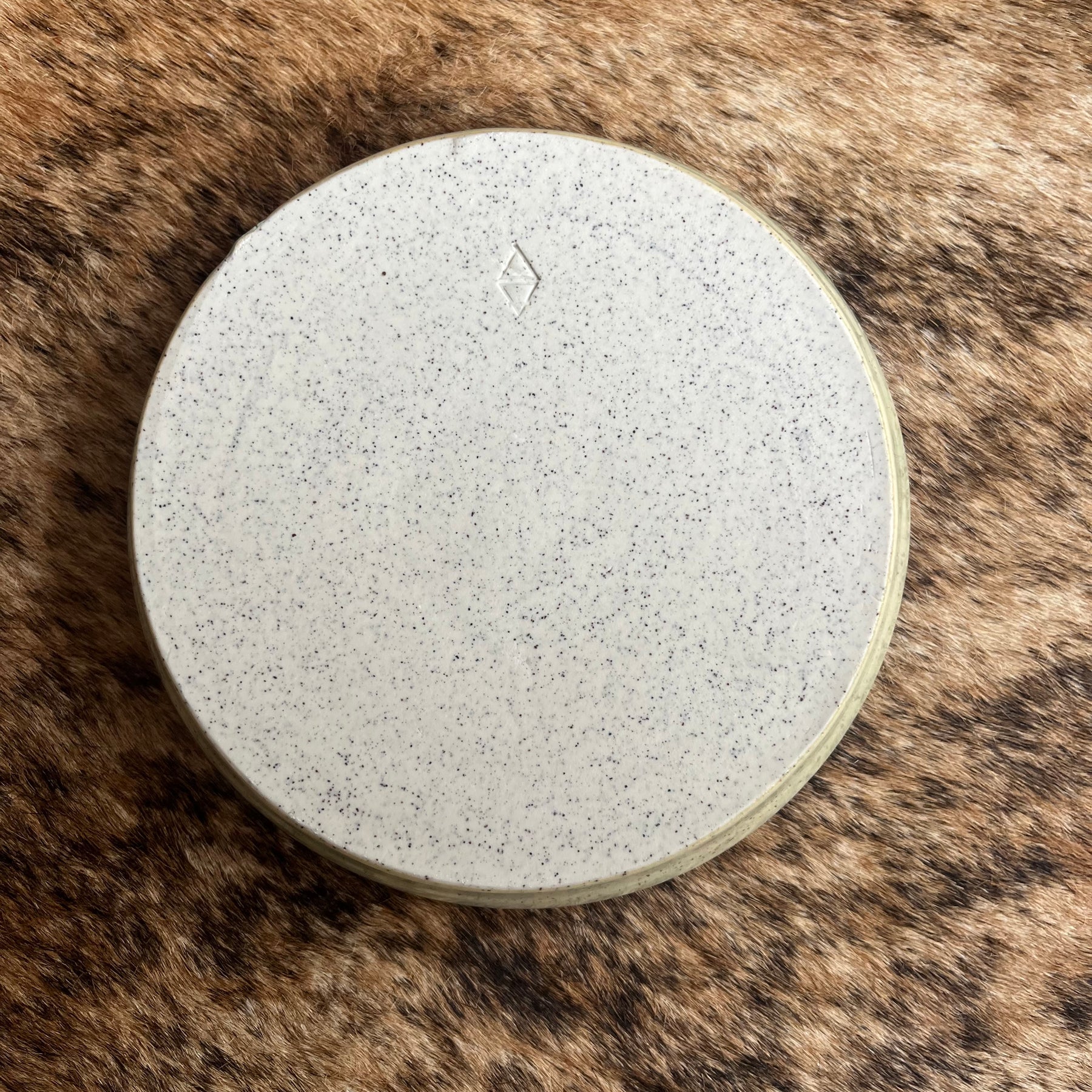 Slow Feeding Ceramic Dog Bowl