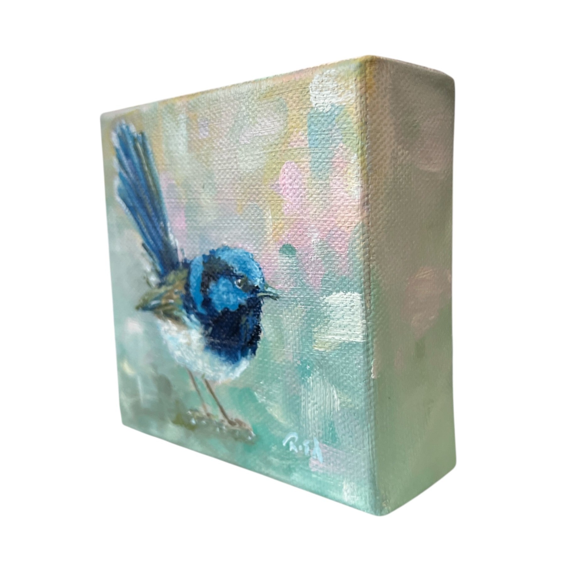 Mini Fairywren Oil Painting, Bird Portrait on Mini Canvas 4"x4"