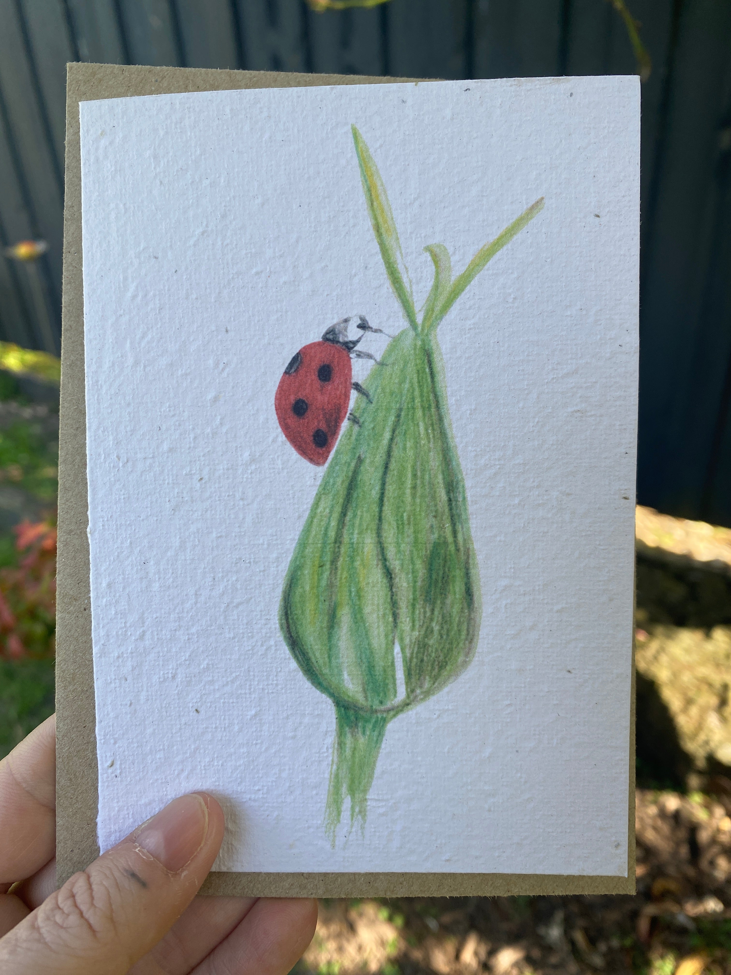 Greeting Card - Ladybird on a bud - Seed embedded card