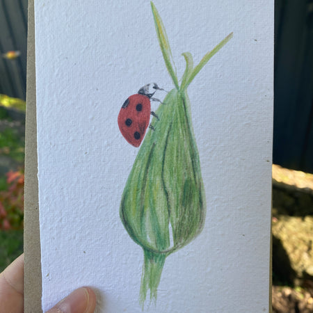 Greeting Card - Ladybird on a bud - Seed embedded card
