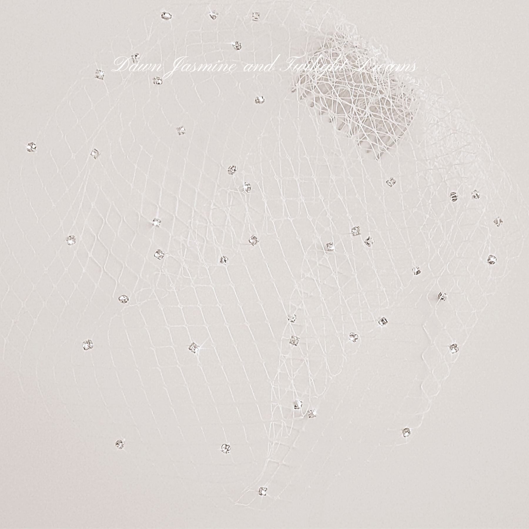 Swarovski® Crystal Side Birdcage Bridal Veil | The Phoebe