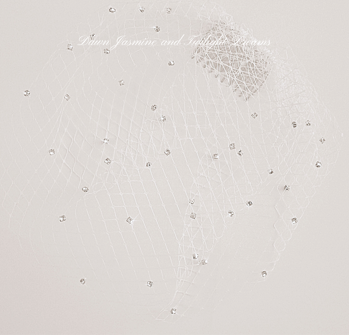 Swarovski® Crystal Side Birdcage Bridal Veil | The Phoebe