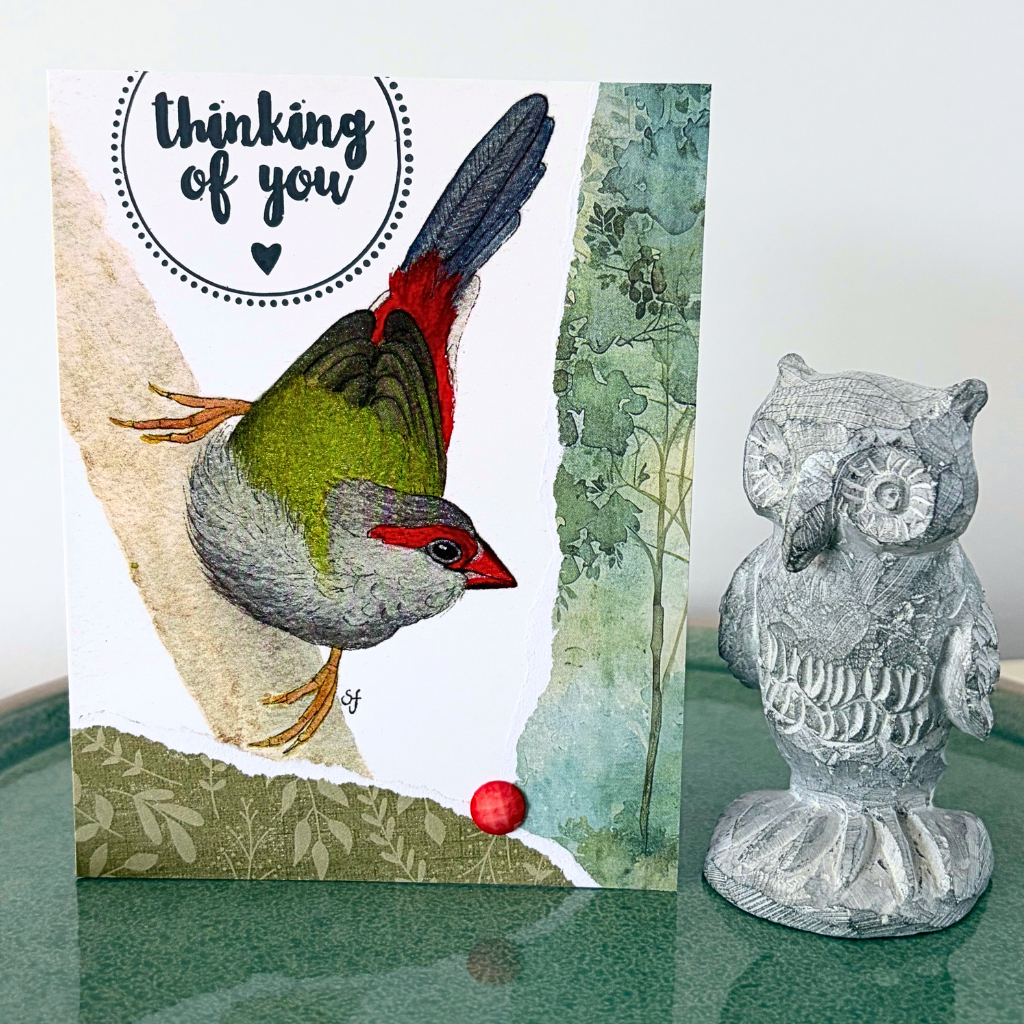 Roxy red-browed finch "Thinking of you" card