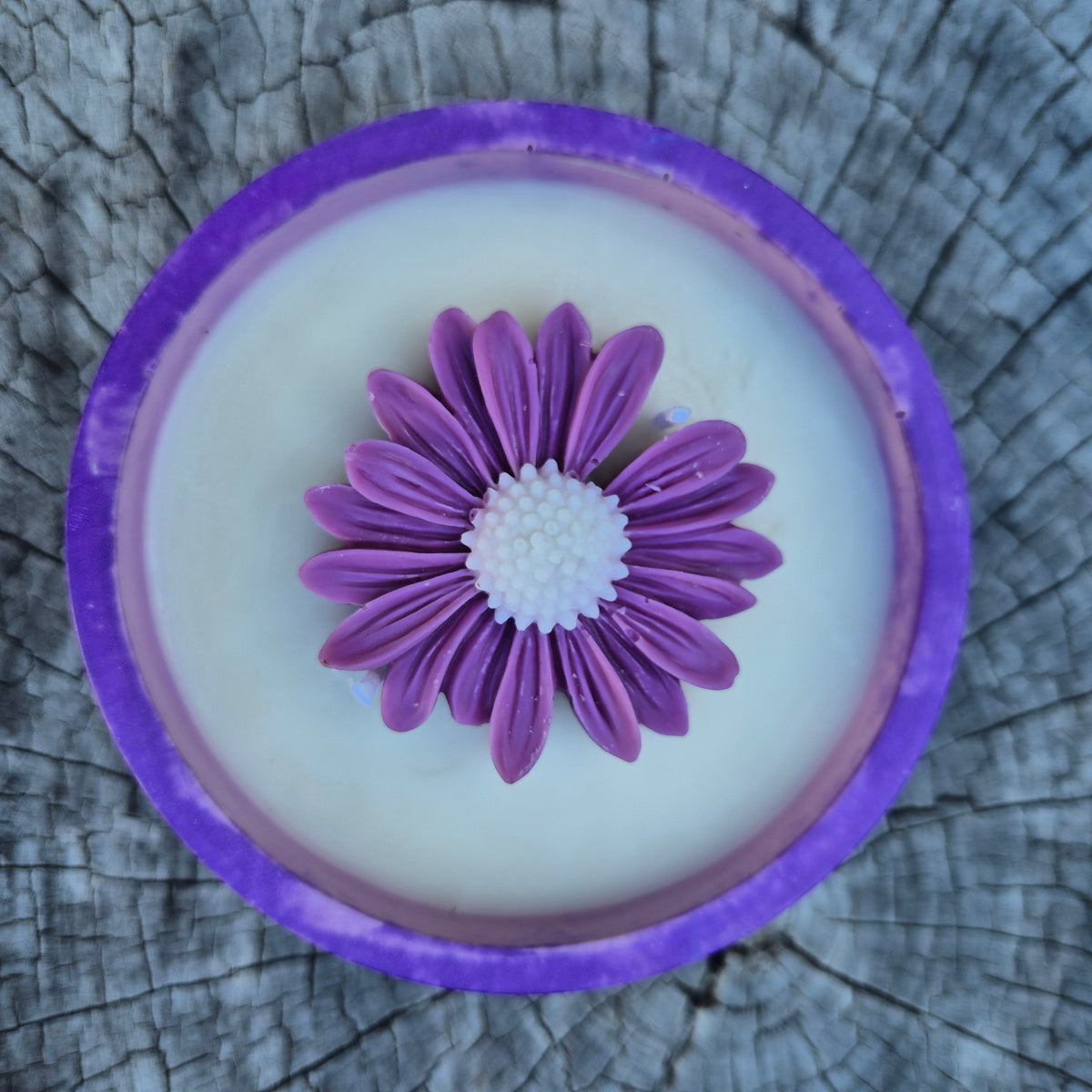 Round purple concrete bowl candle with rose soy wax daisy