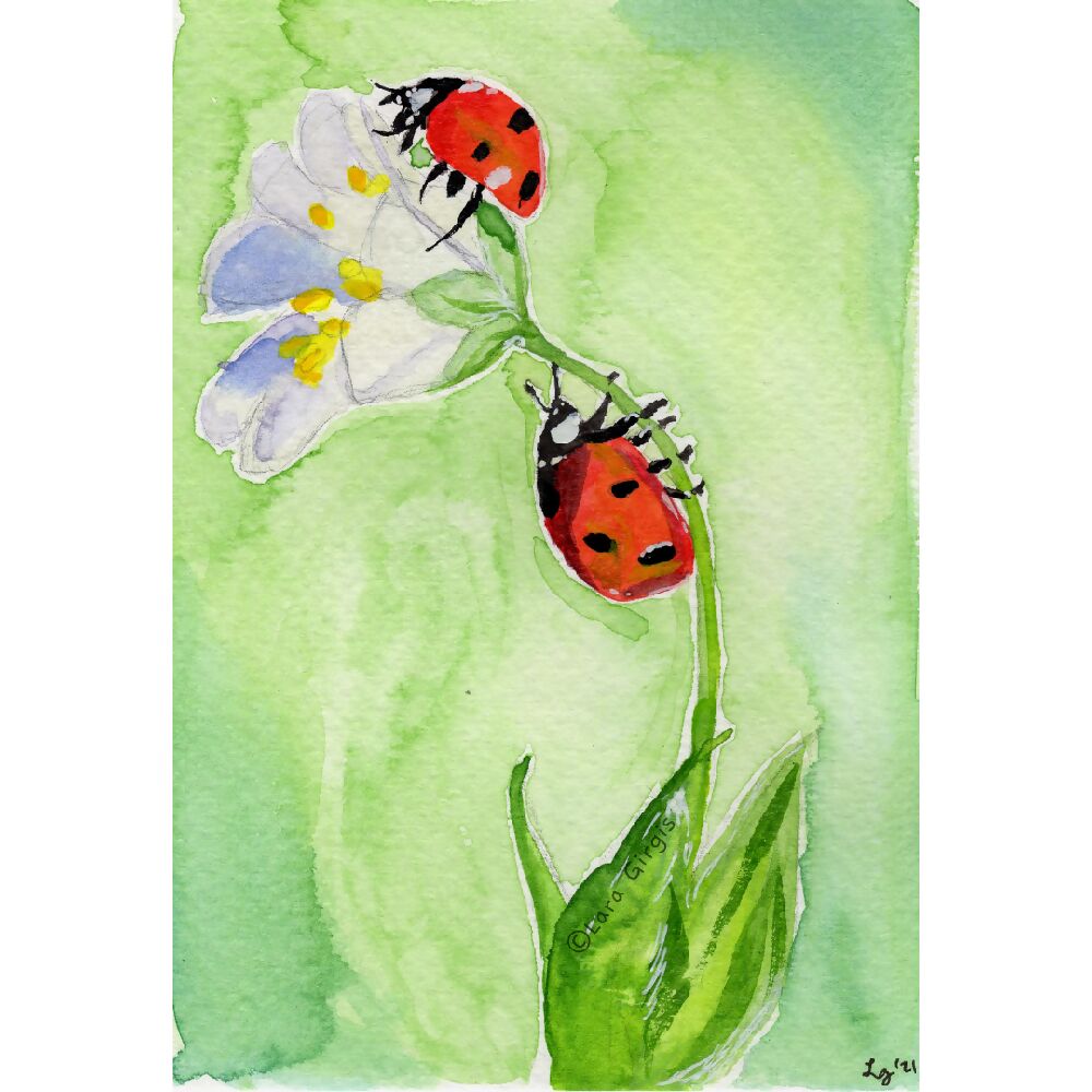 Ladybirds - art print