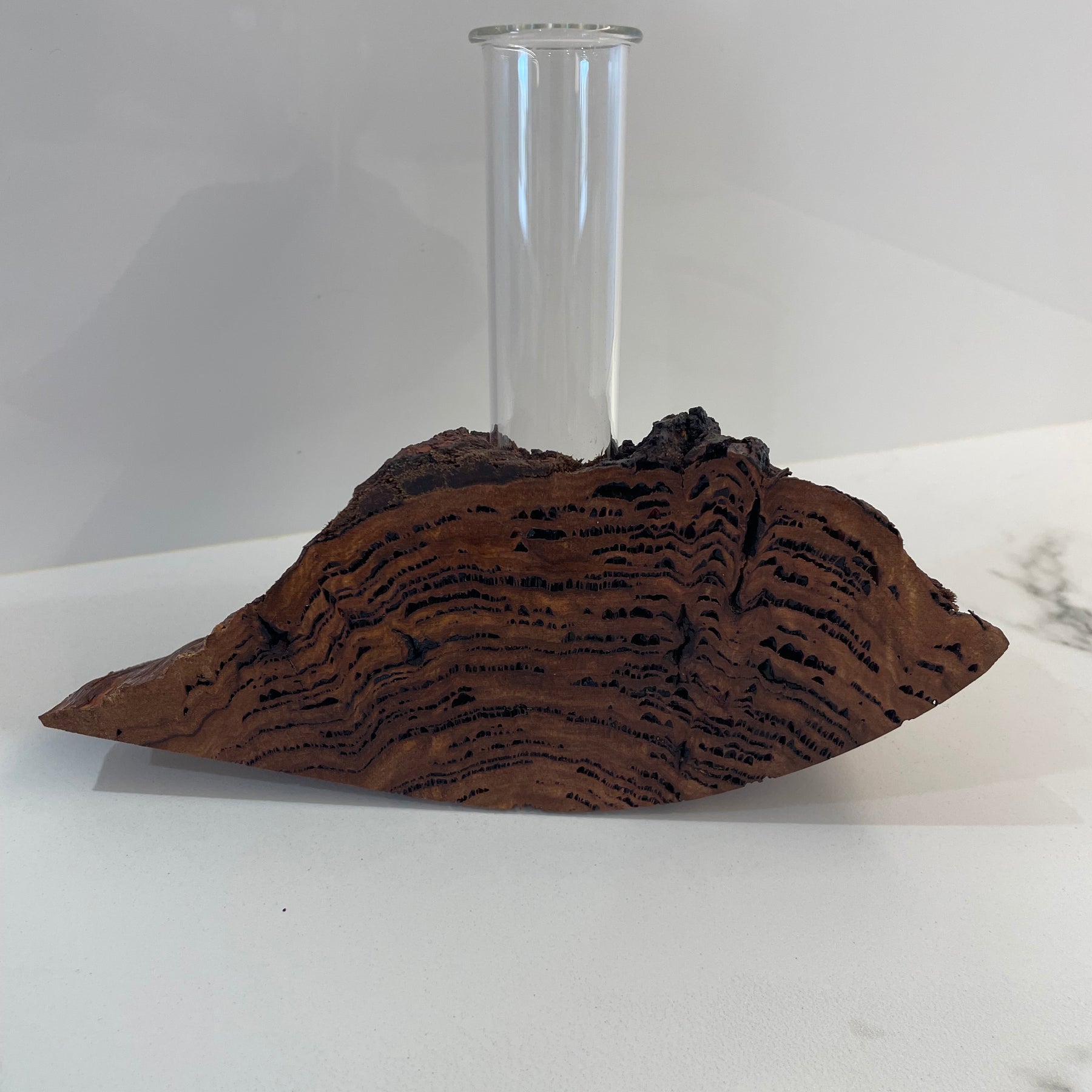 Bud vase or Propagation tube